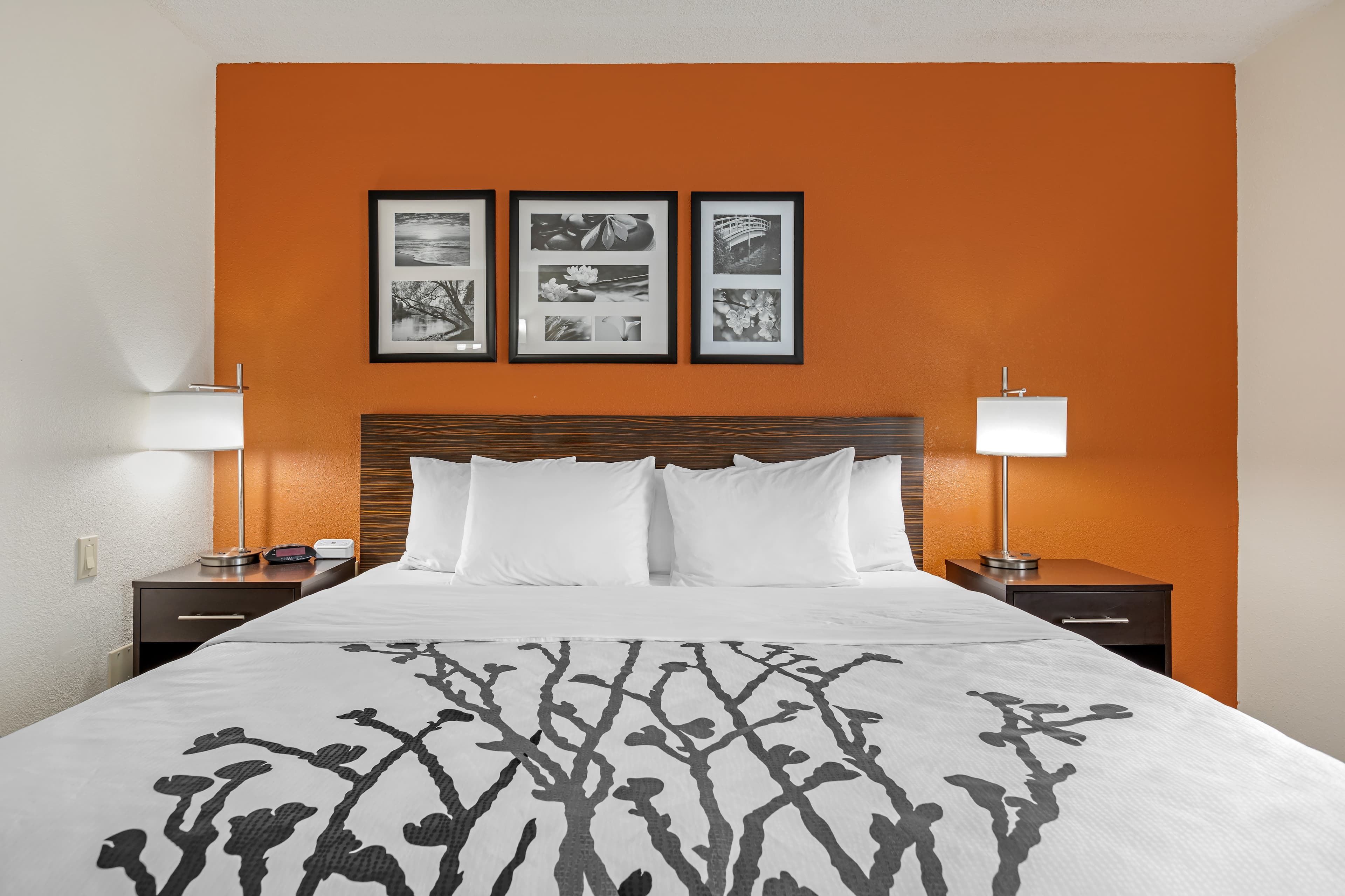 Sleep Inn DeWitt - Lansing North — 18