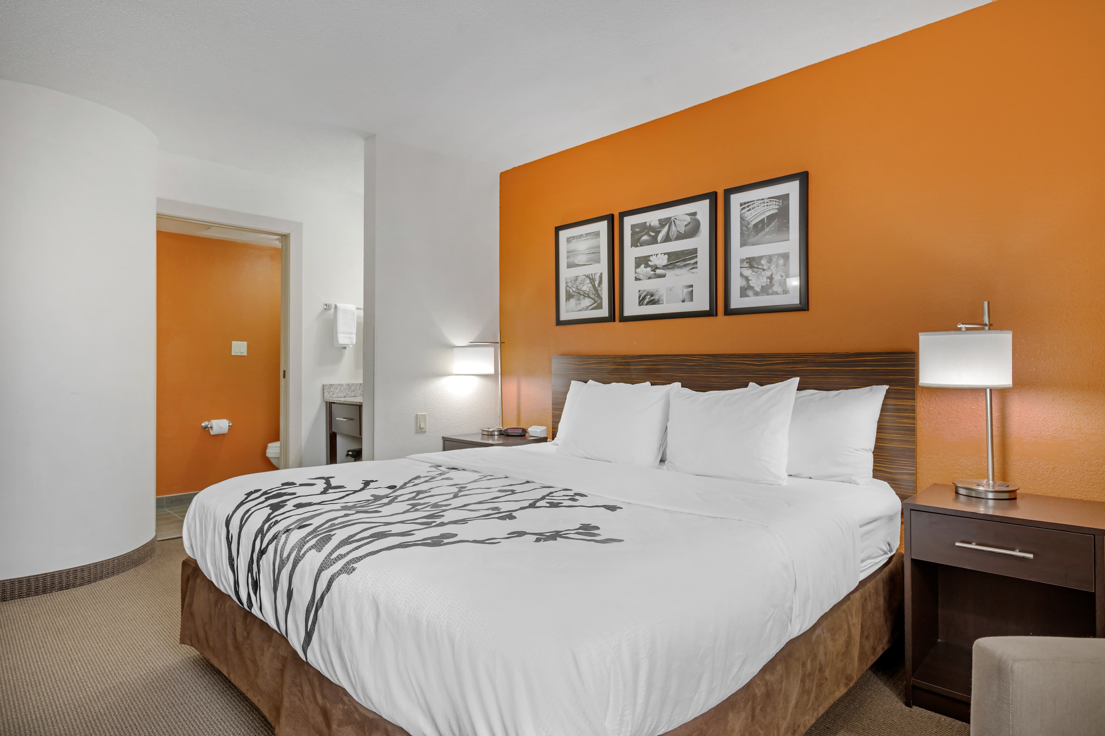 Sleep Inn DeWitt - Lansing North - Image 1