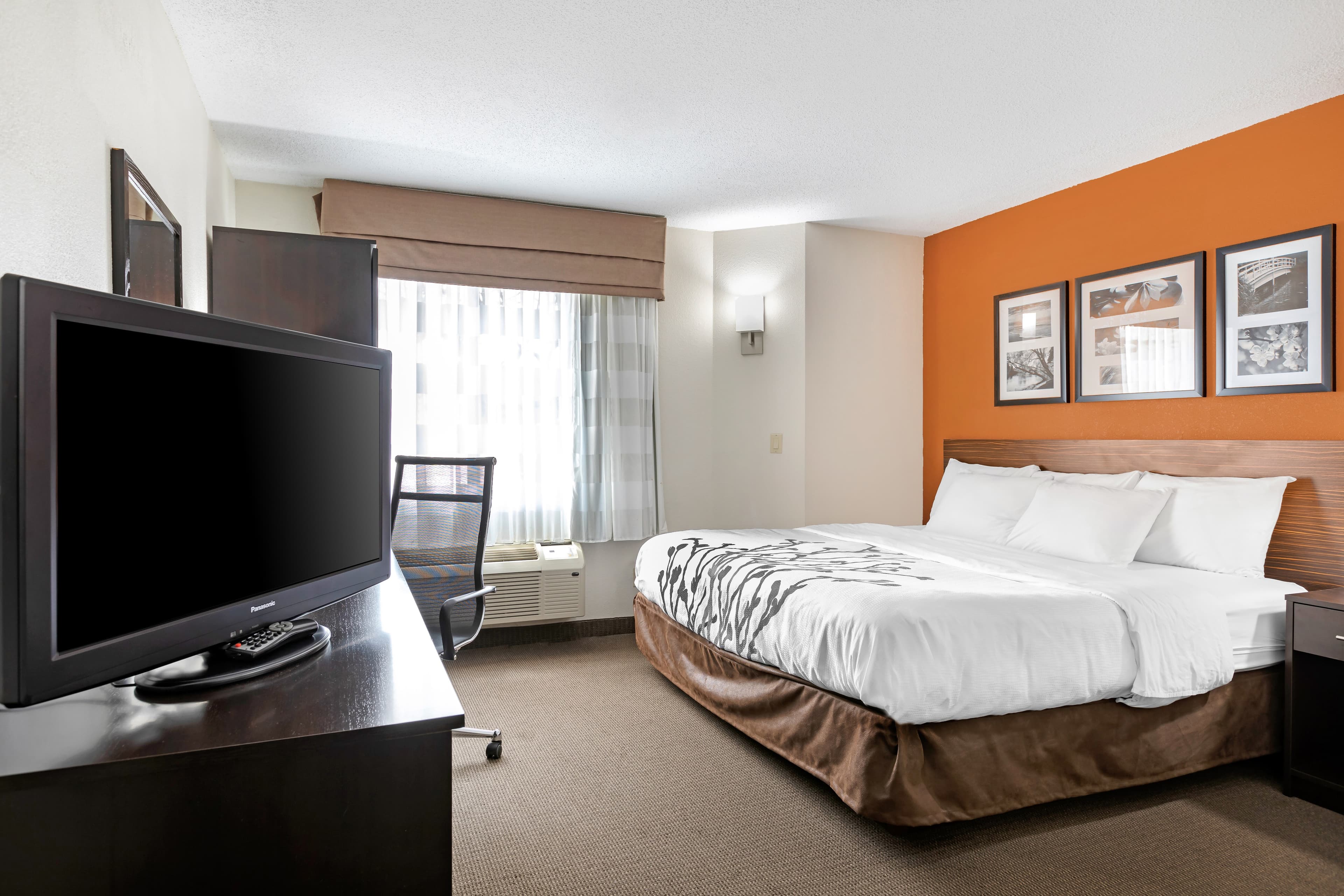 Sleep Inn DeWitt - Lansing North — 19