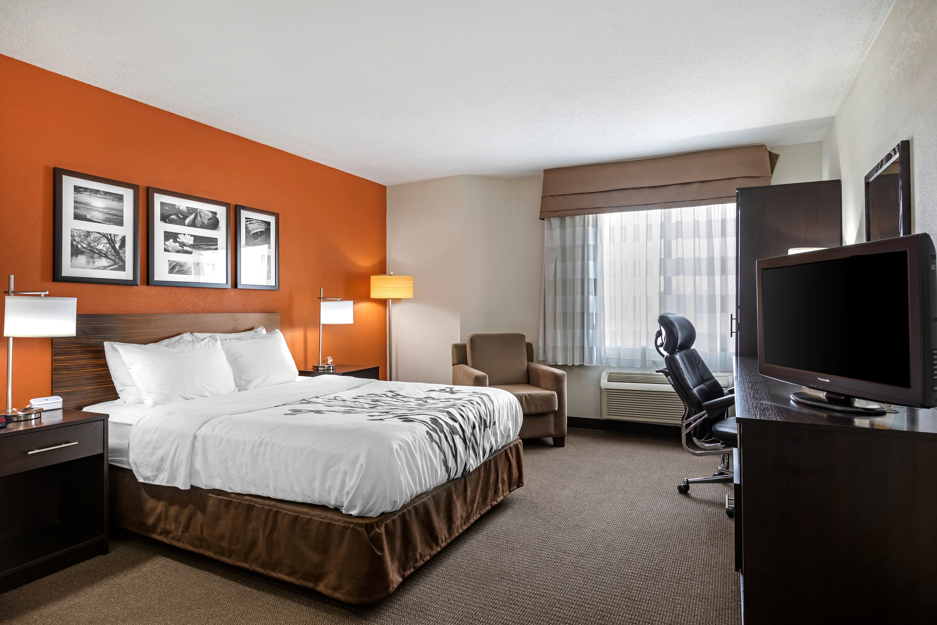 Sleep Inn DeWitt - Lansing North — 26