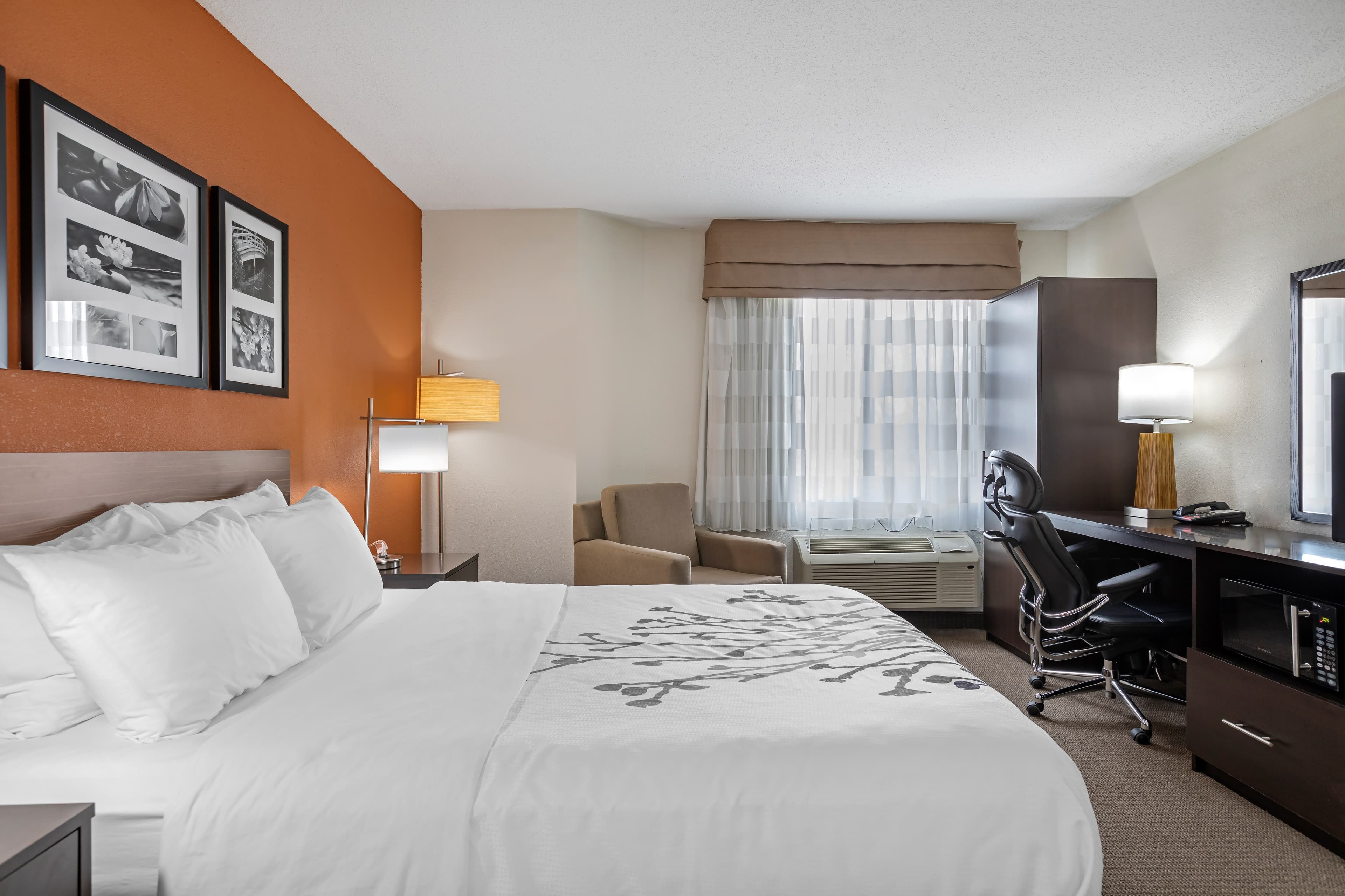 Sleep Inn DeWitt - Lansing North — 27