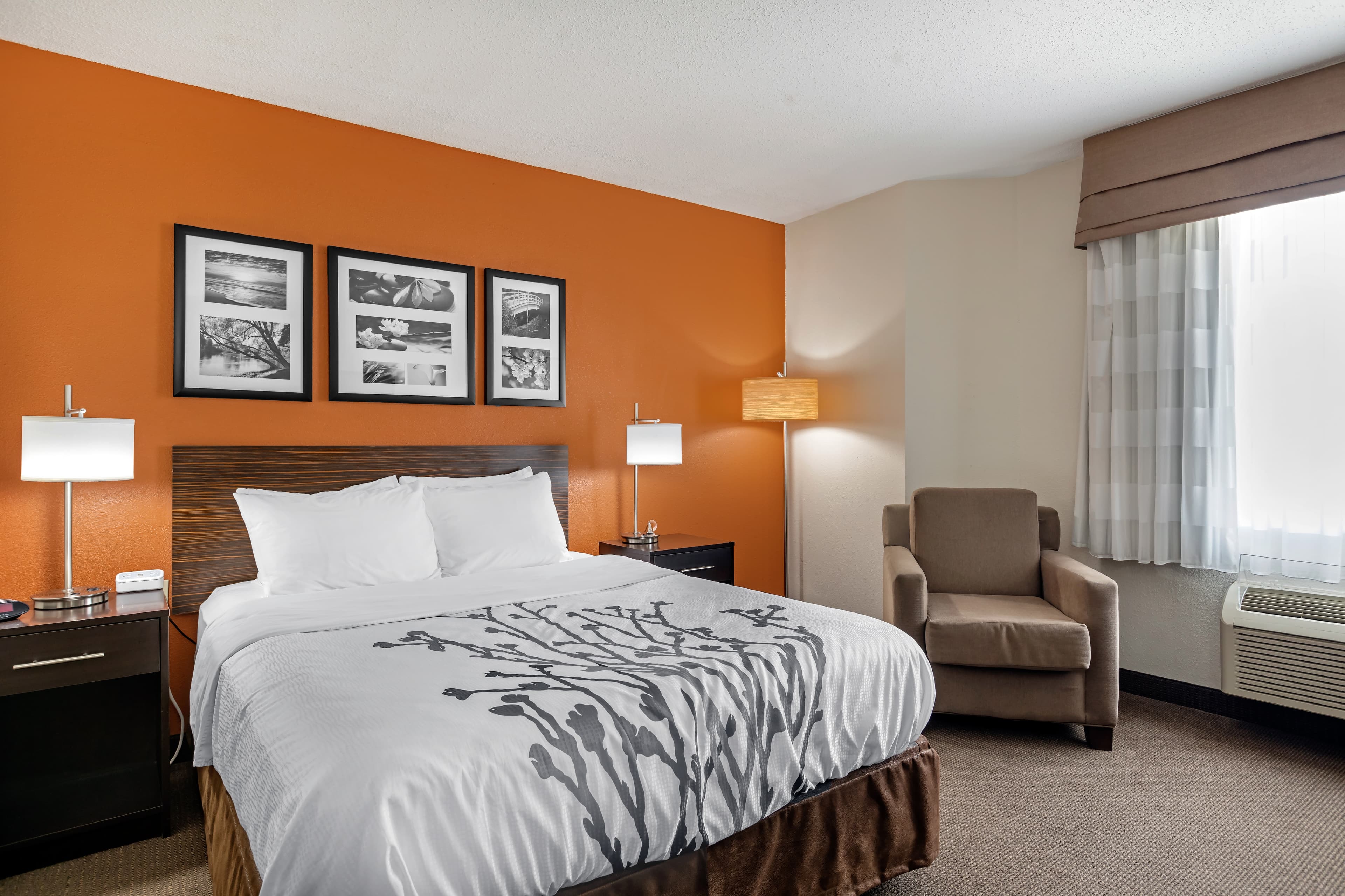 Sleep Inn DeWitt - Lansing North — 29