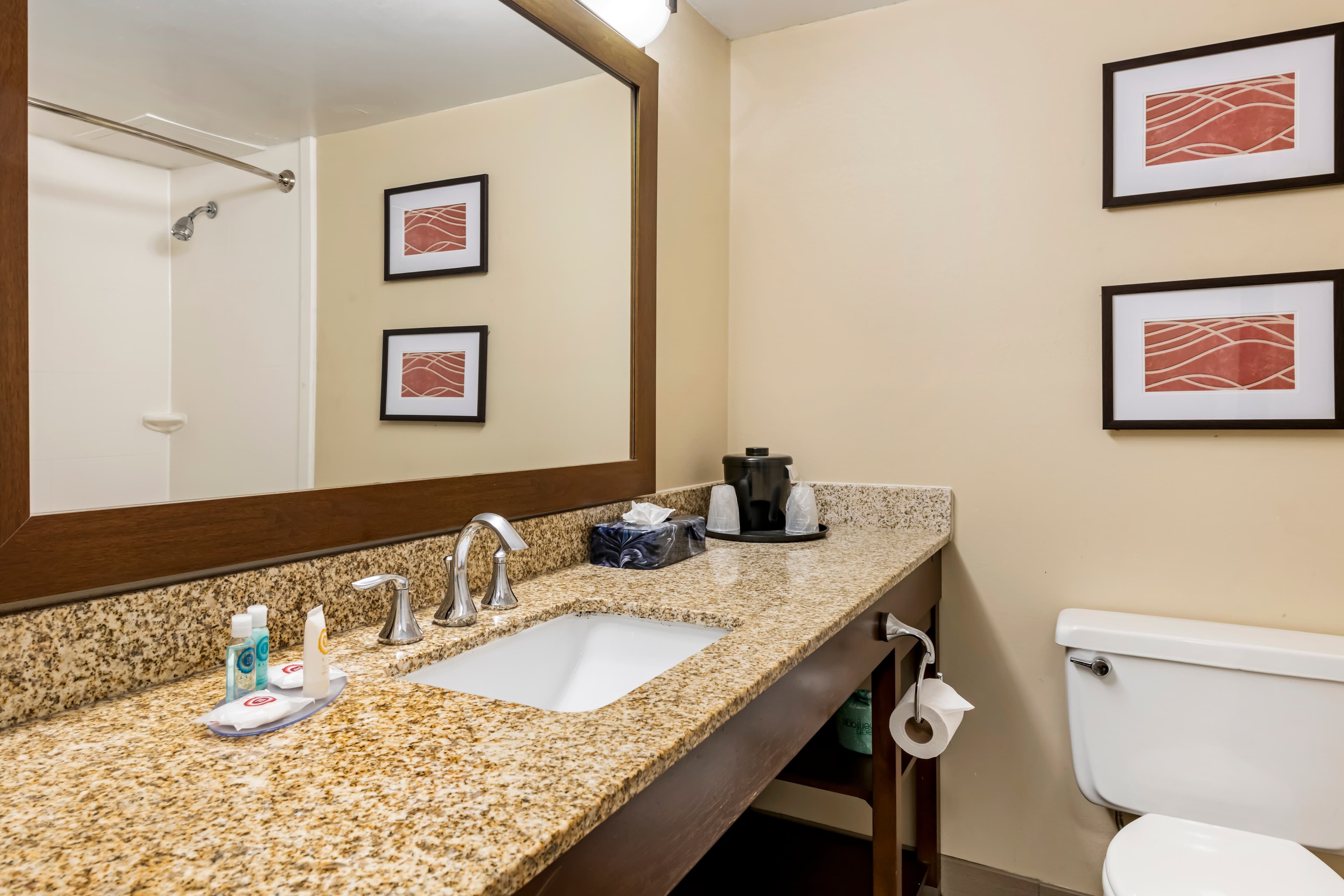 Comfort Inn MSP Airport - Mall of America — 9