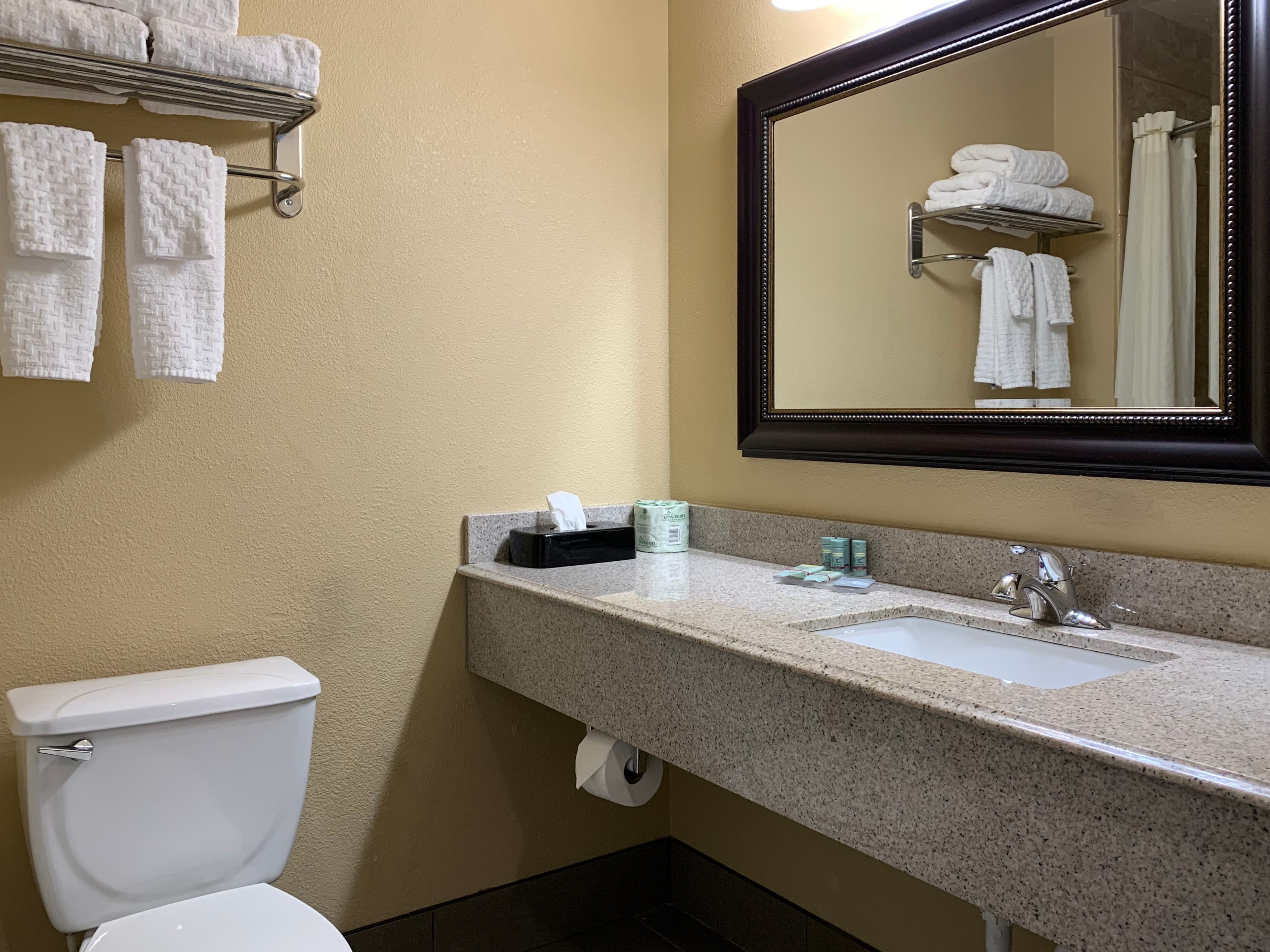 Comfort Inn Saint Paul East - Image 3