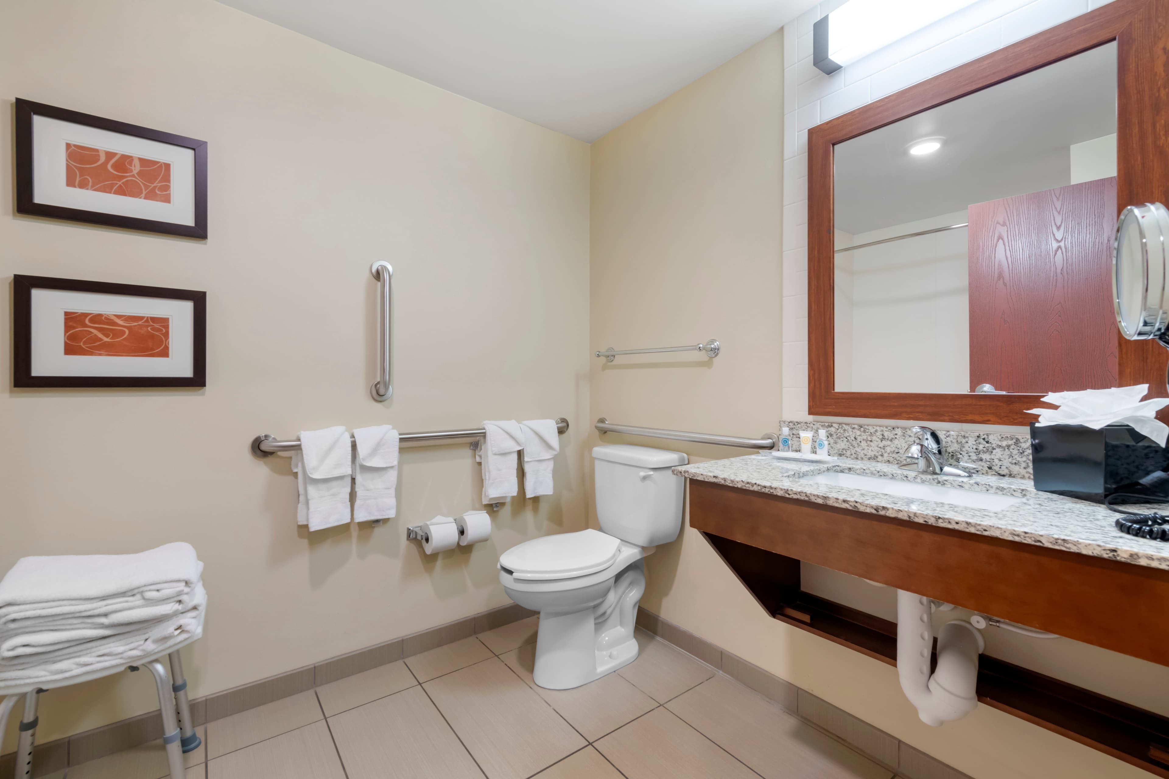 Comfort Suites & Conference Center — 6