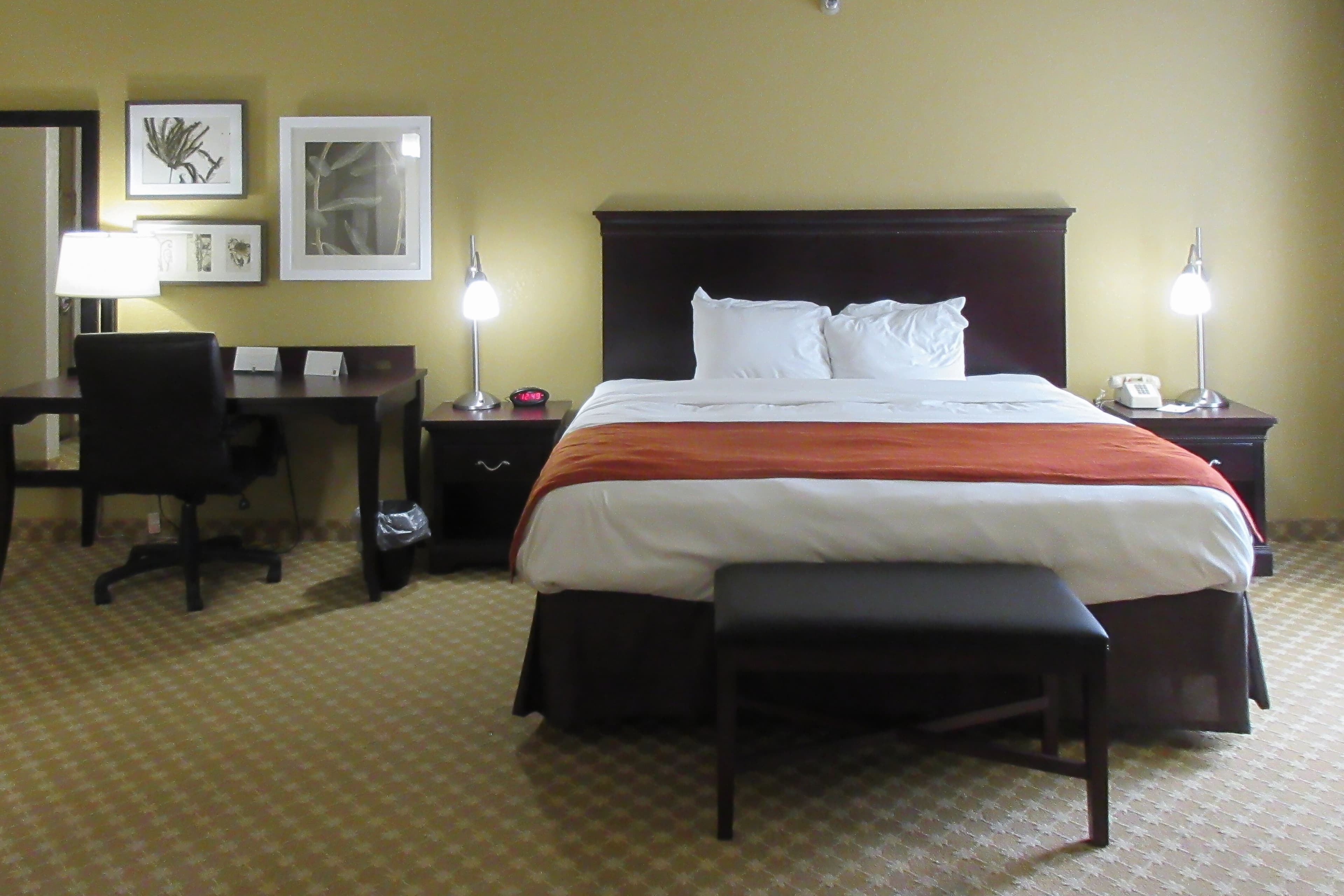 Quality Inn & Suites Alexandria — 8