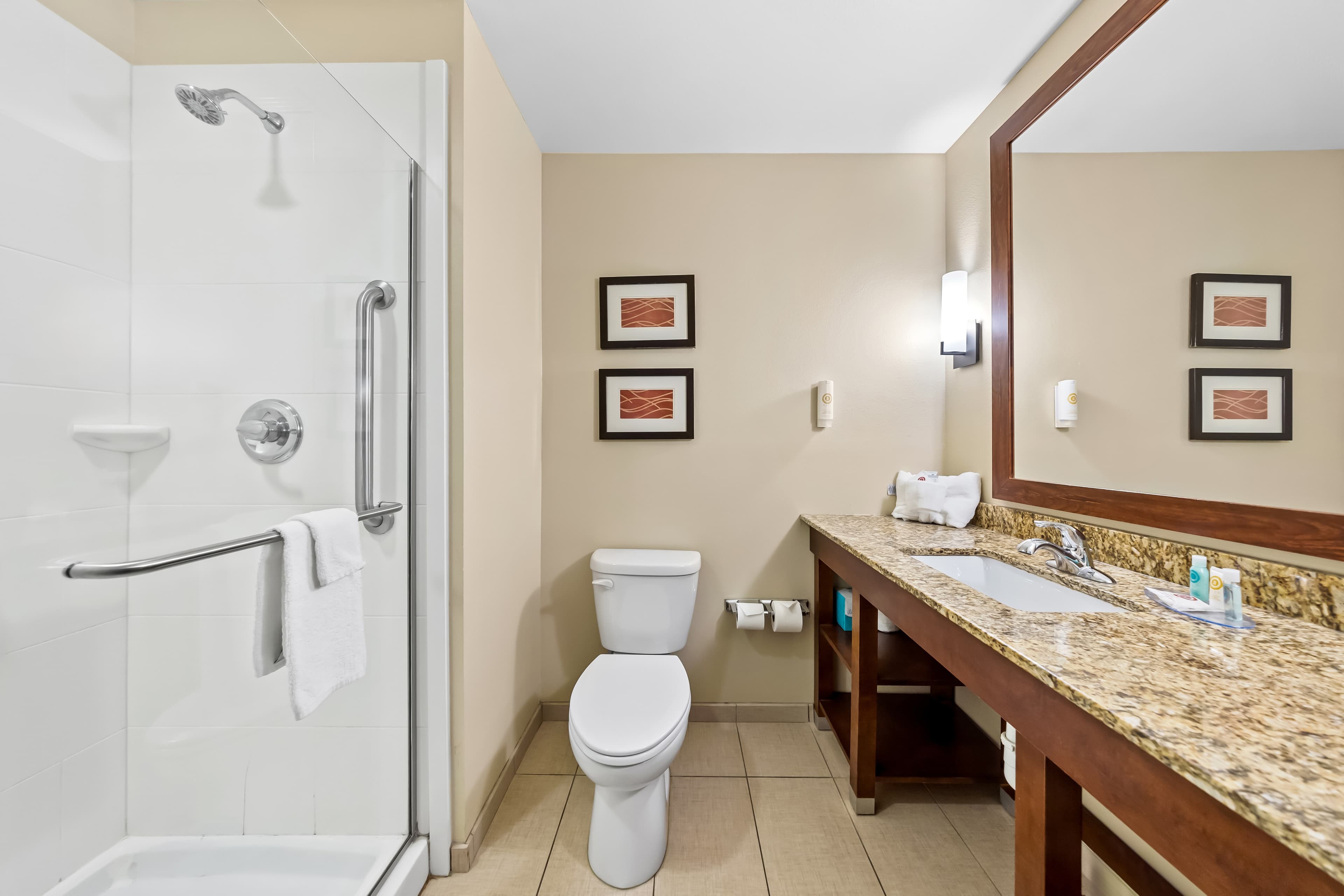 Comfort Inn & Suites West - Medical Center - Image 5