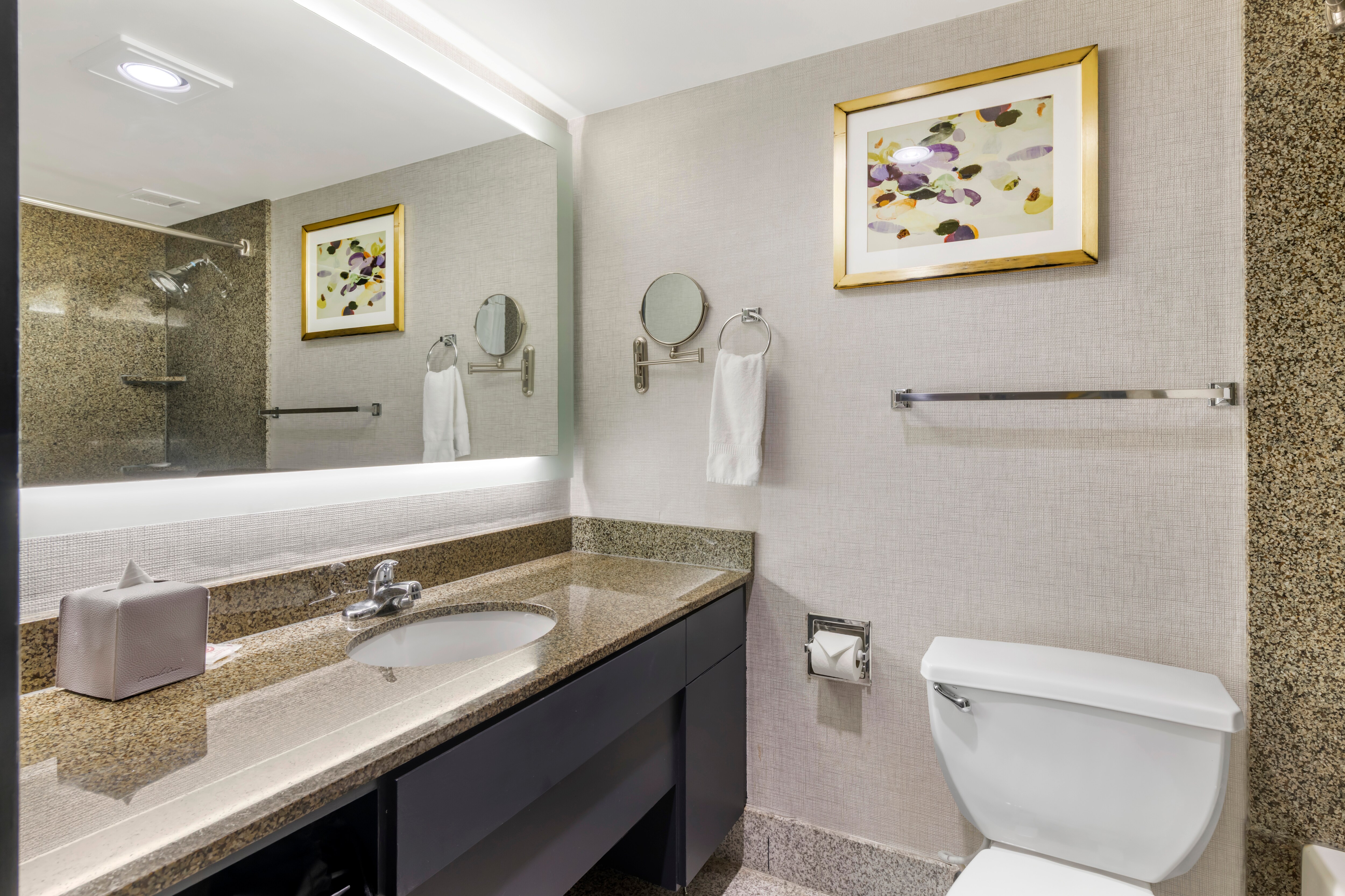 Comfort Inn Brooklyn Center - Image 5