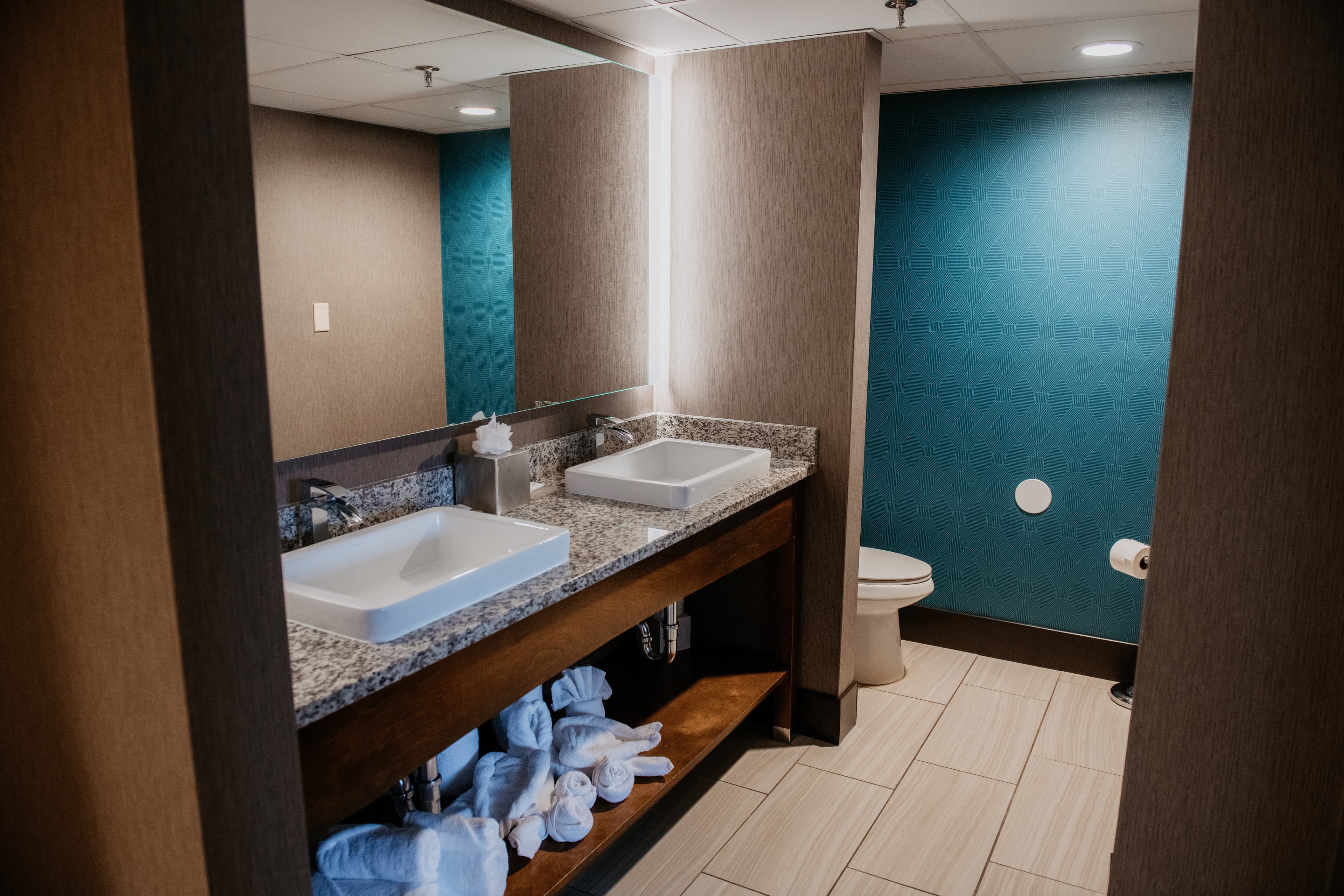 Radisson Hotel St. Paul Downtown — 10
