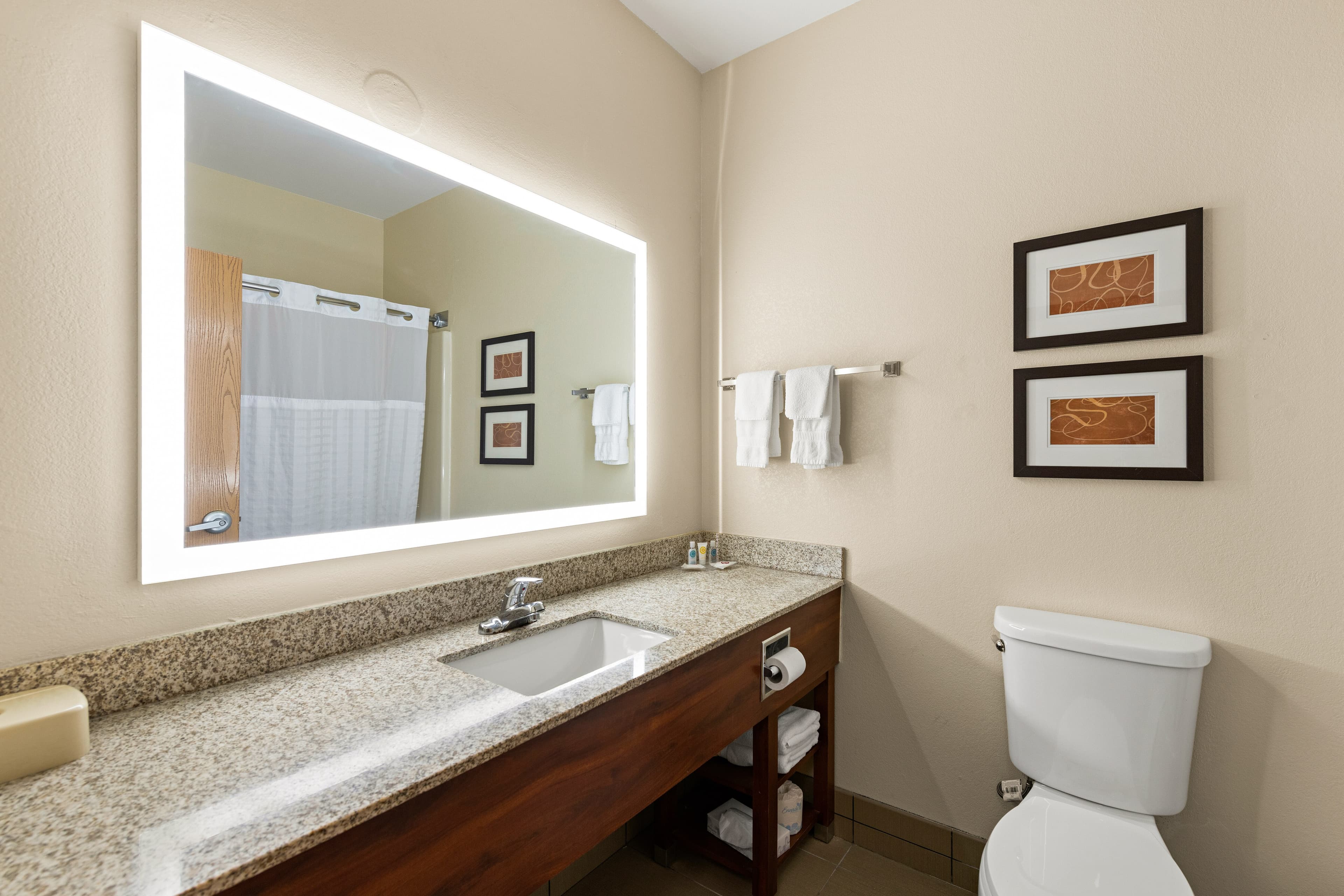 Comfort Suites Kansas City-Liberty — 13
