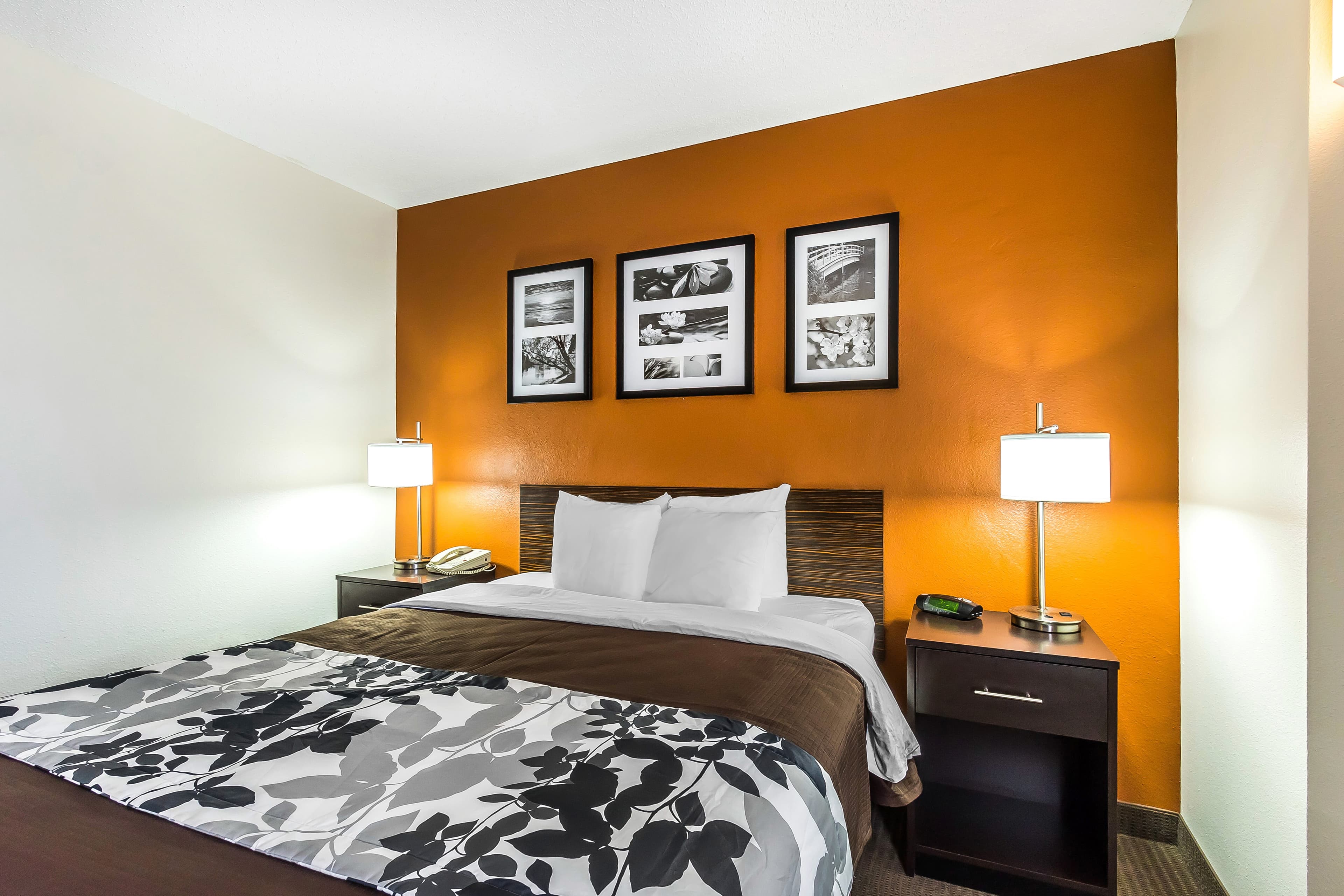 Sleep Inn Springfield South I60 near Medical District — 18