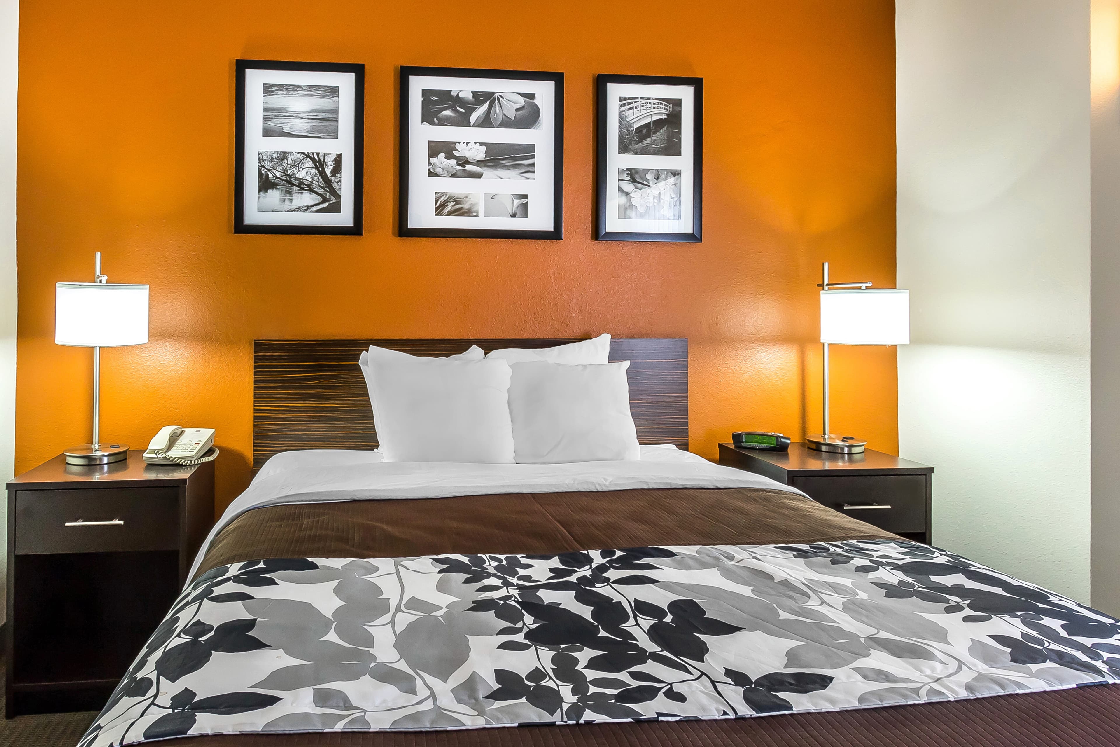 Sleep Inn Springfield South I60 near Medical District — 19