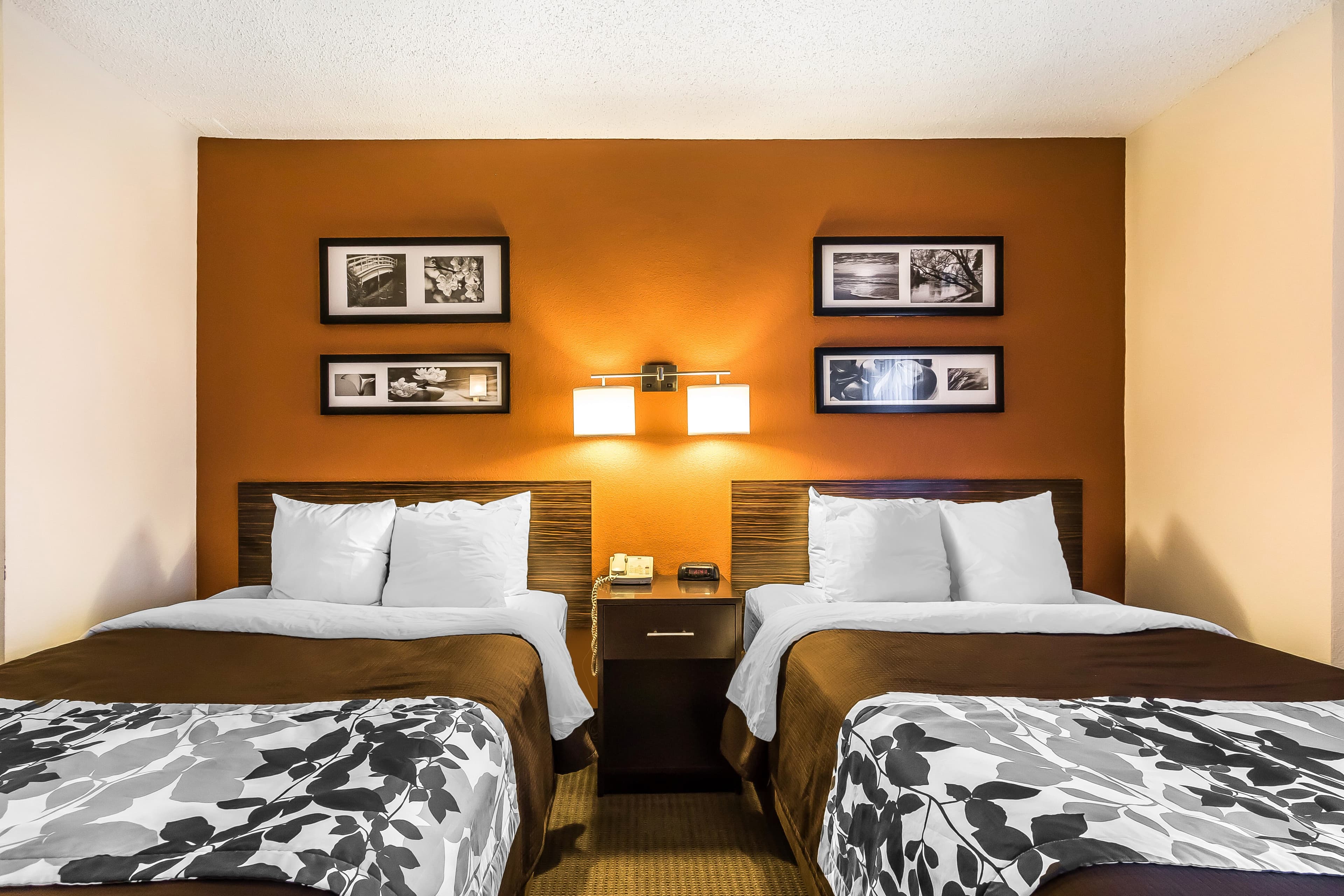 Sleep Inn Springfield South I60 near Medical District — 6
