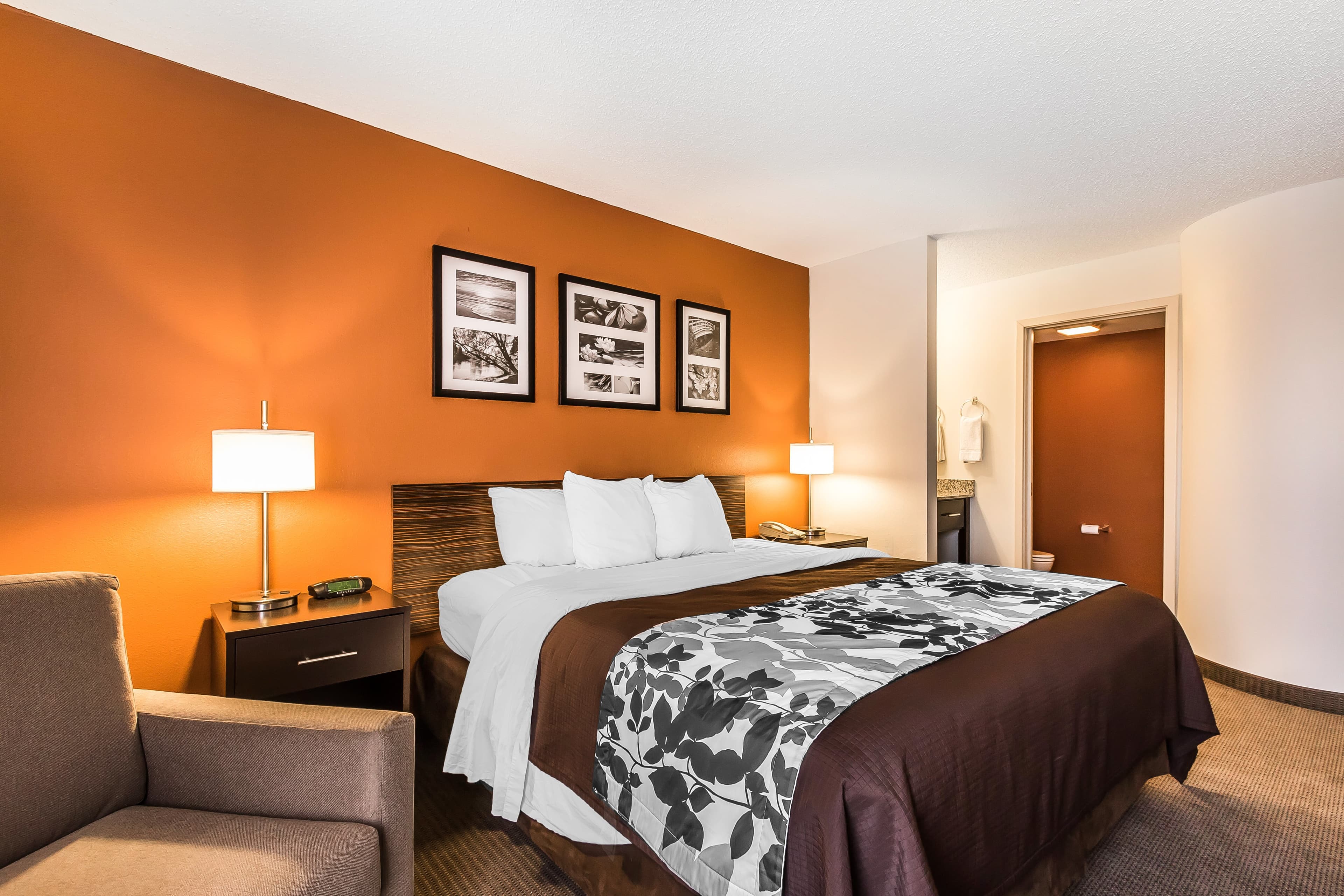 Sleep Inn Springfield South I60 near Medical District — 25