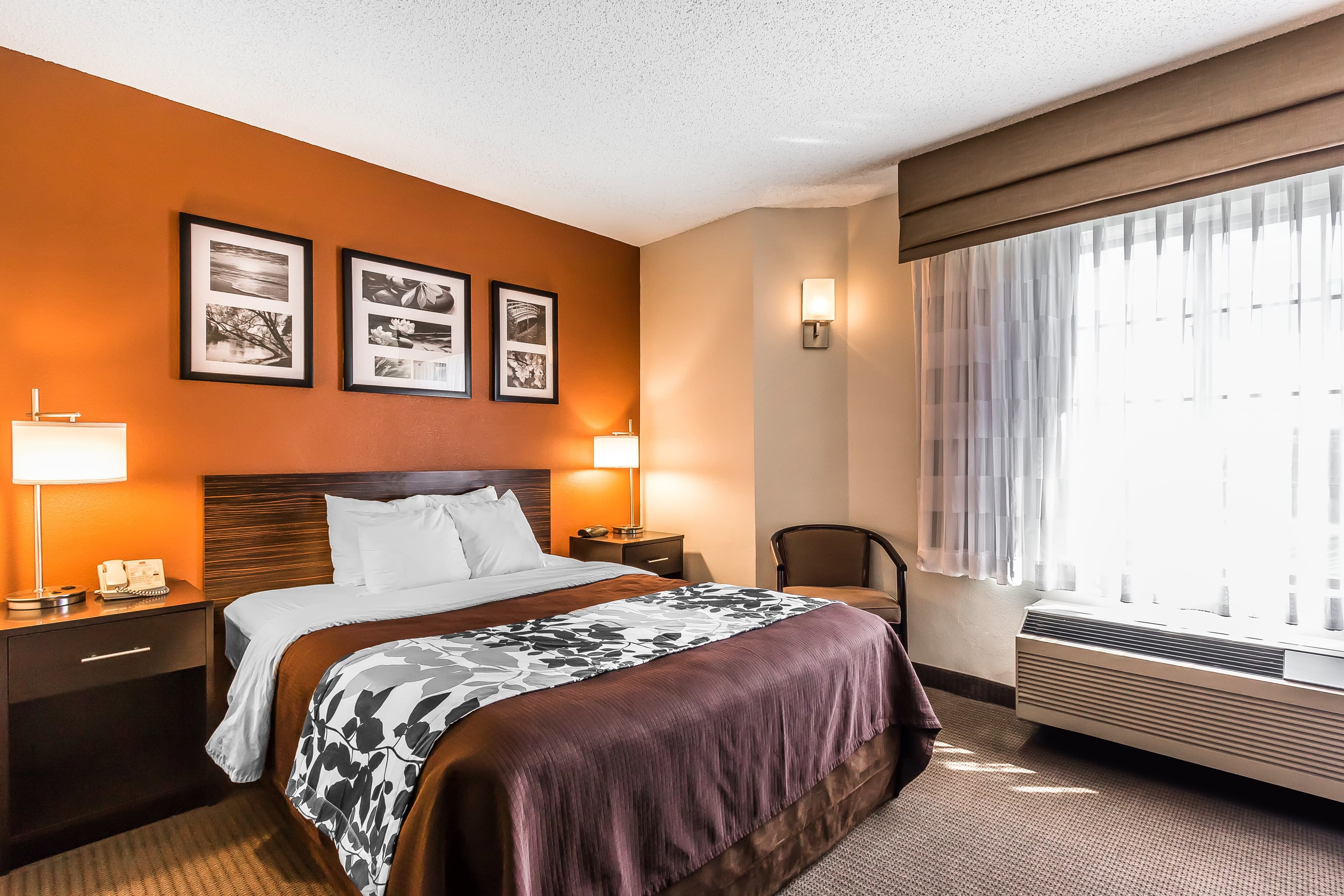 Sleep Inn Springfield South I60 near Medical District — 26
