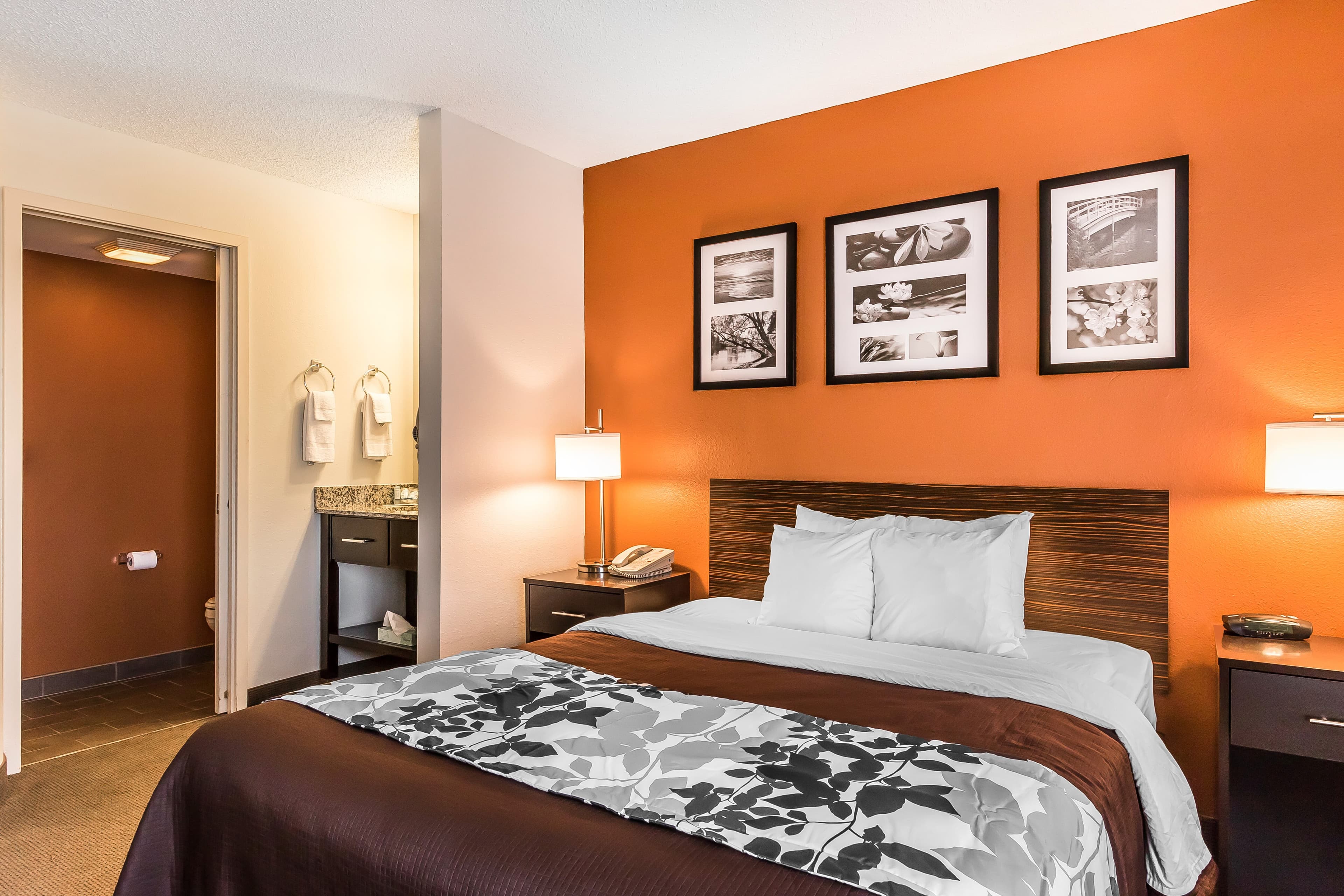 Sleep Inn Springfield South I60 near Medical District — 28