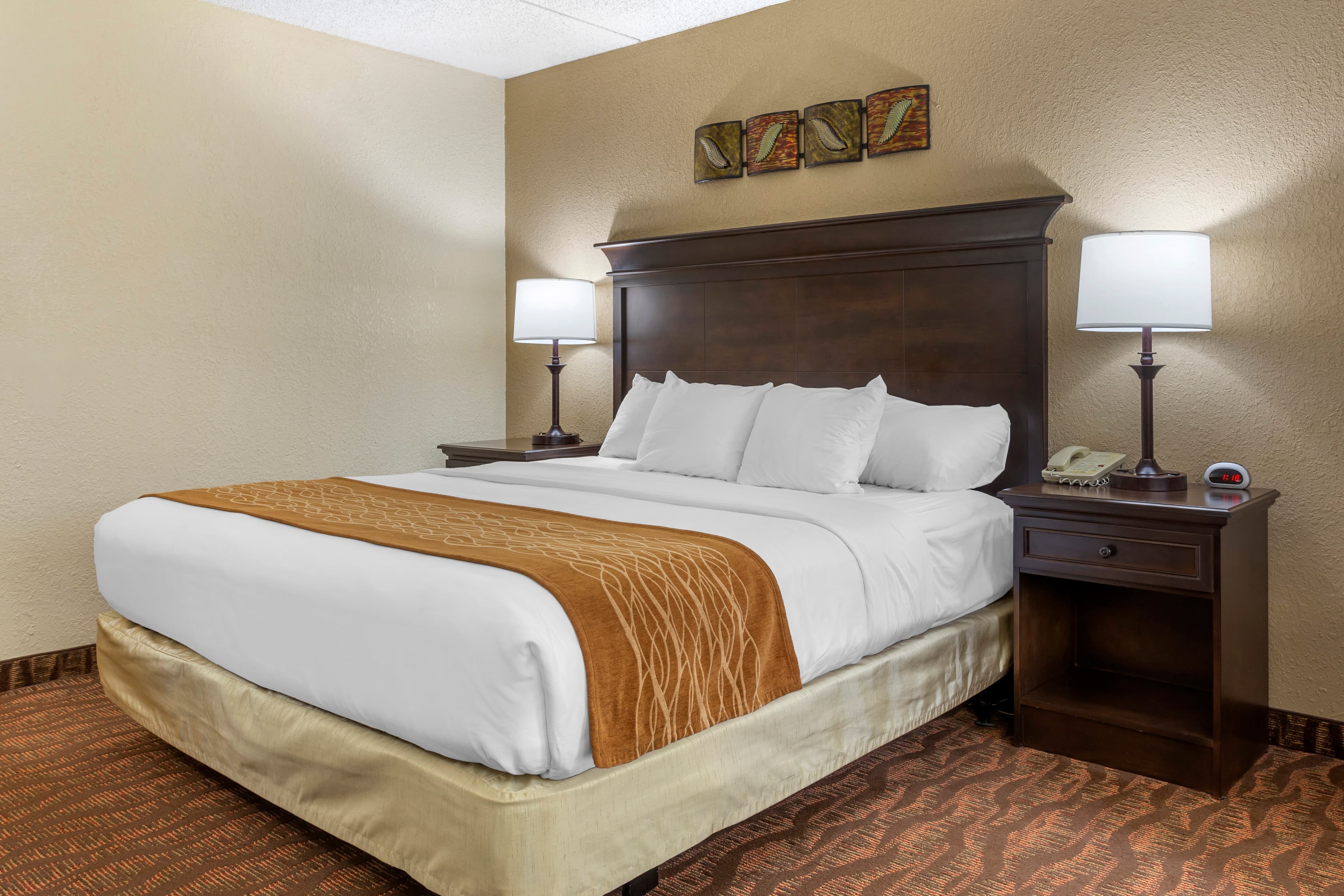 Comfort Inn at Thousand Hills - Image 2