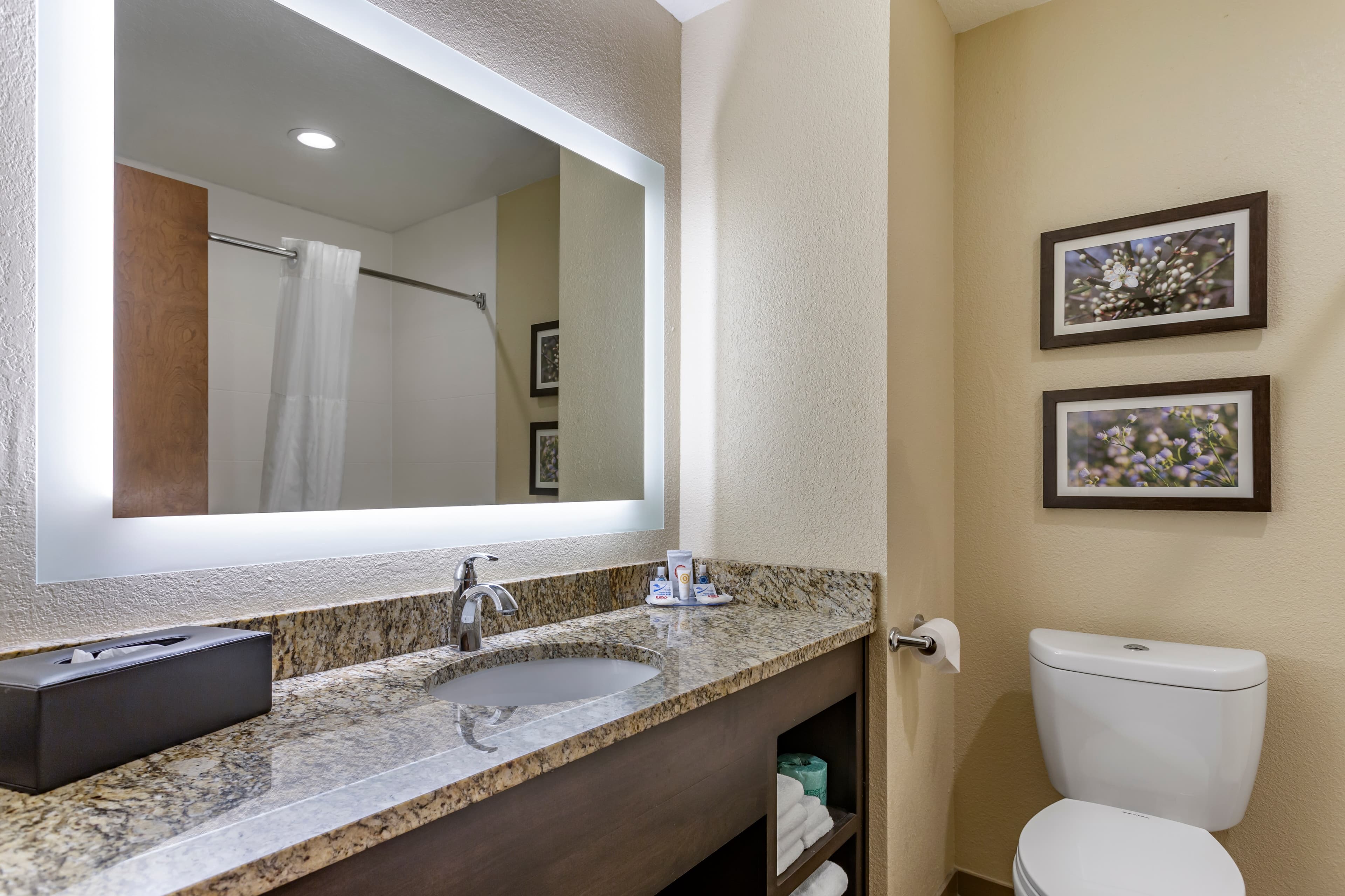 Comfort Inn St. Robert/Fort Leonard Wood — 17