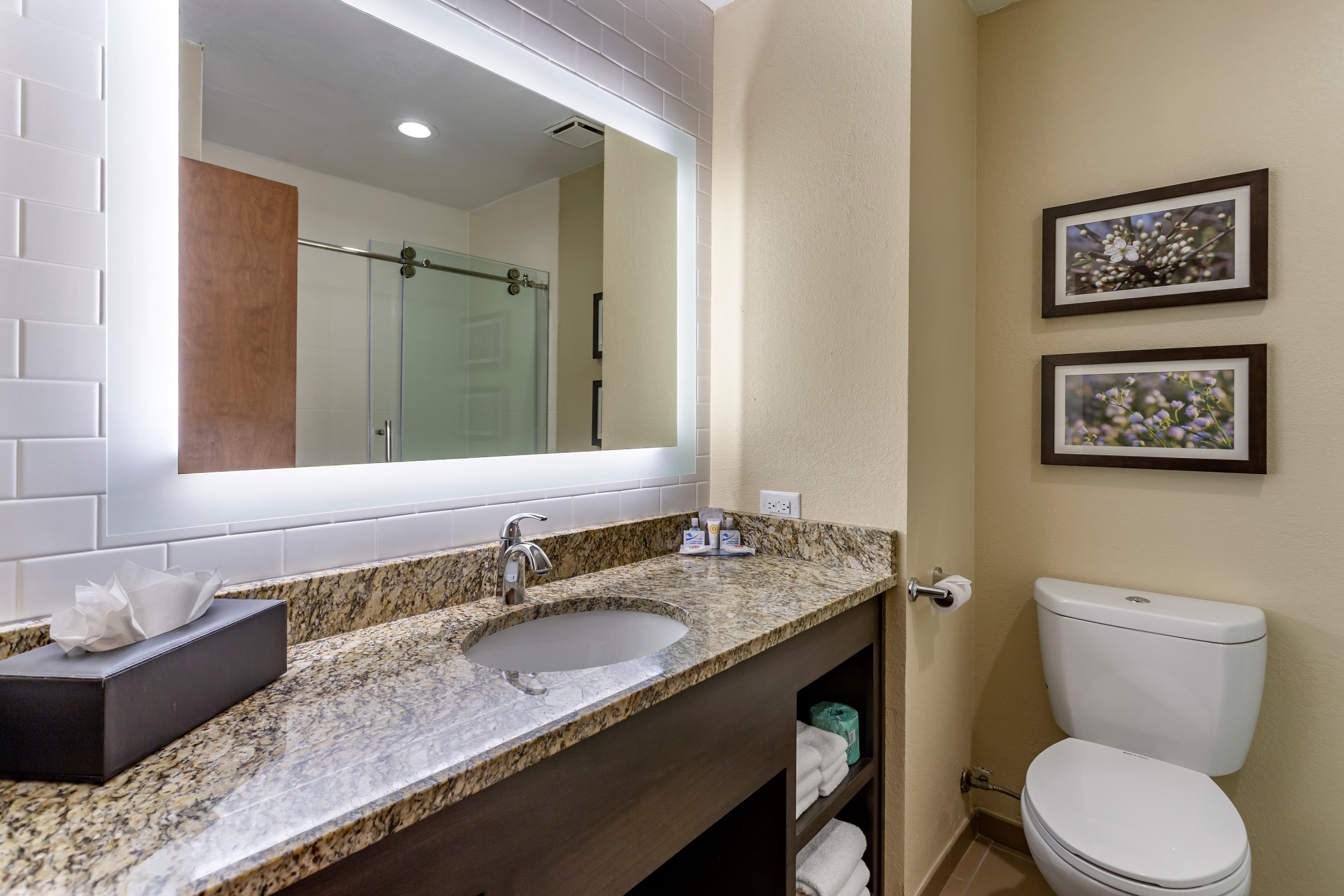 Comfort Inn St. Robert/Fort Leonard Wood — 21