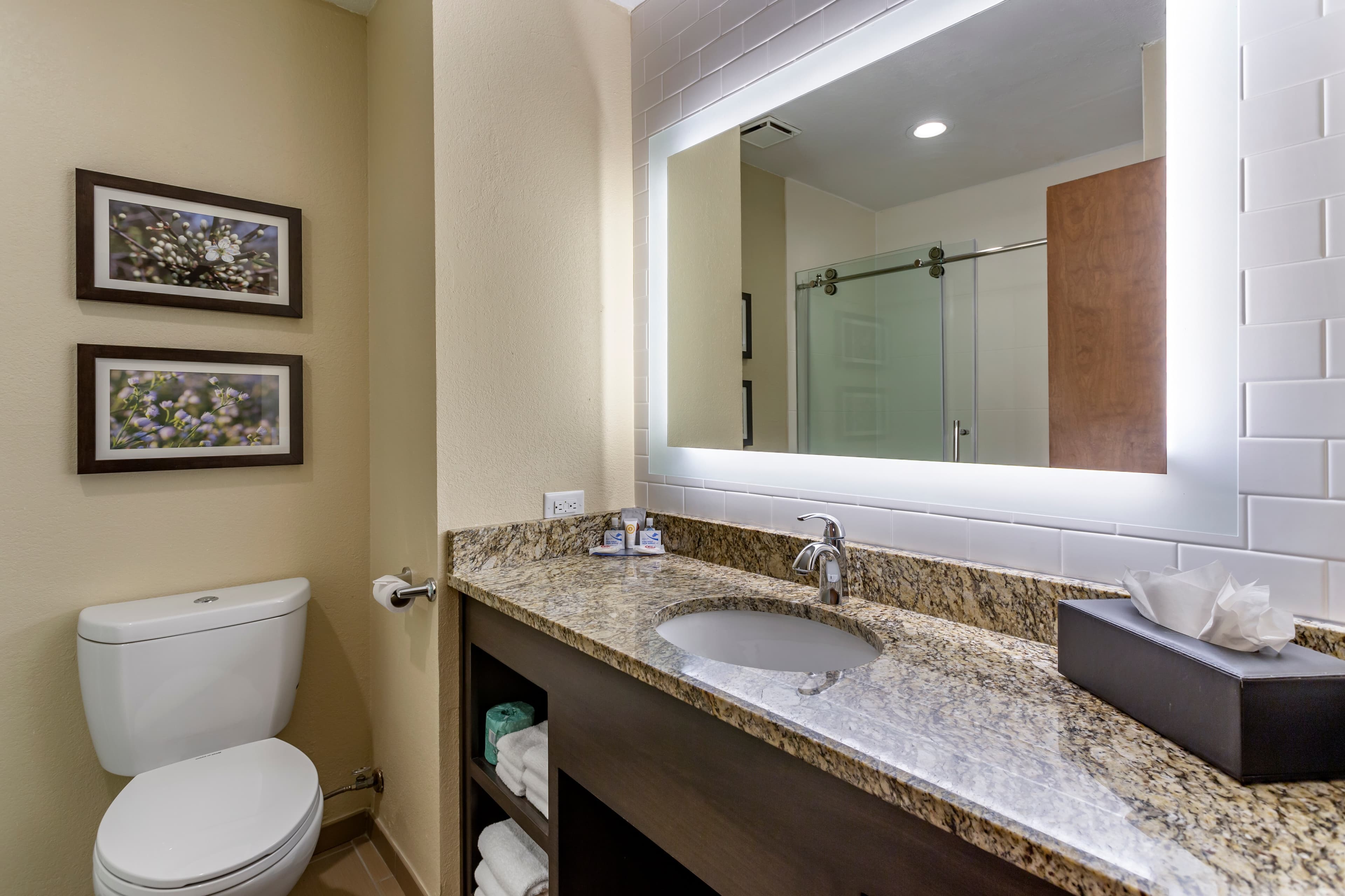 Comfort Inn St. Robert/Fort Leonard Wood — 25
