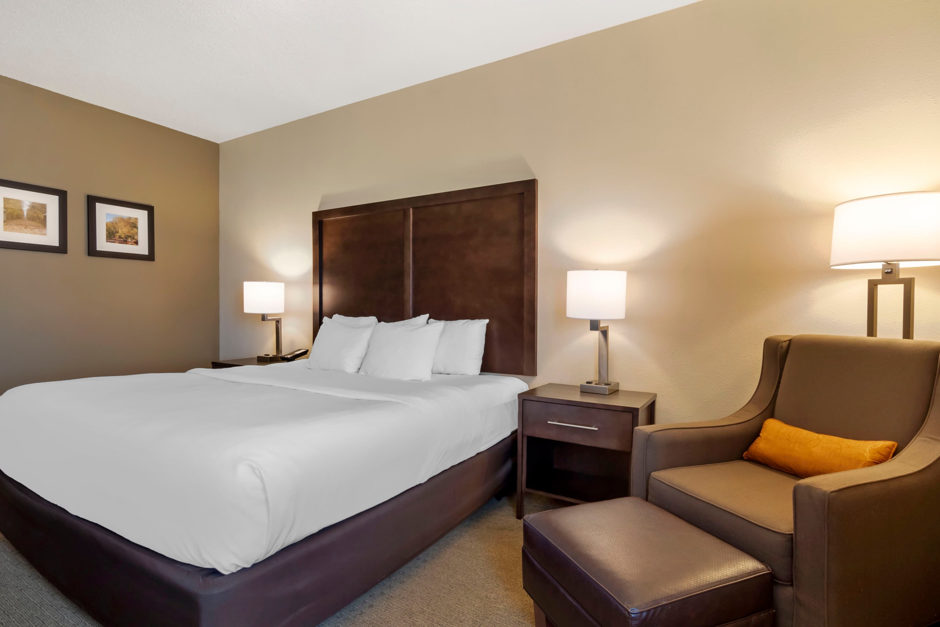 Comfort Inn & Suites Macon - Image 2