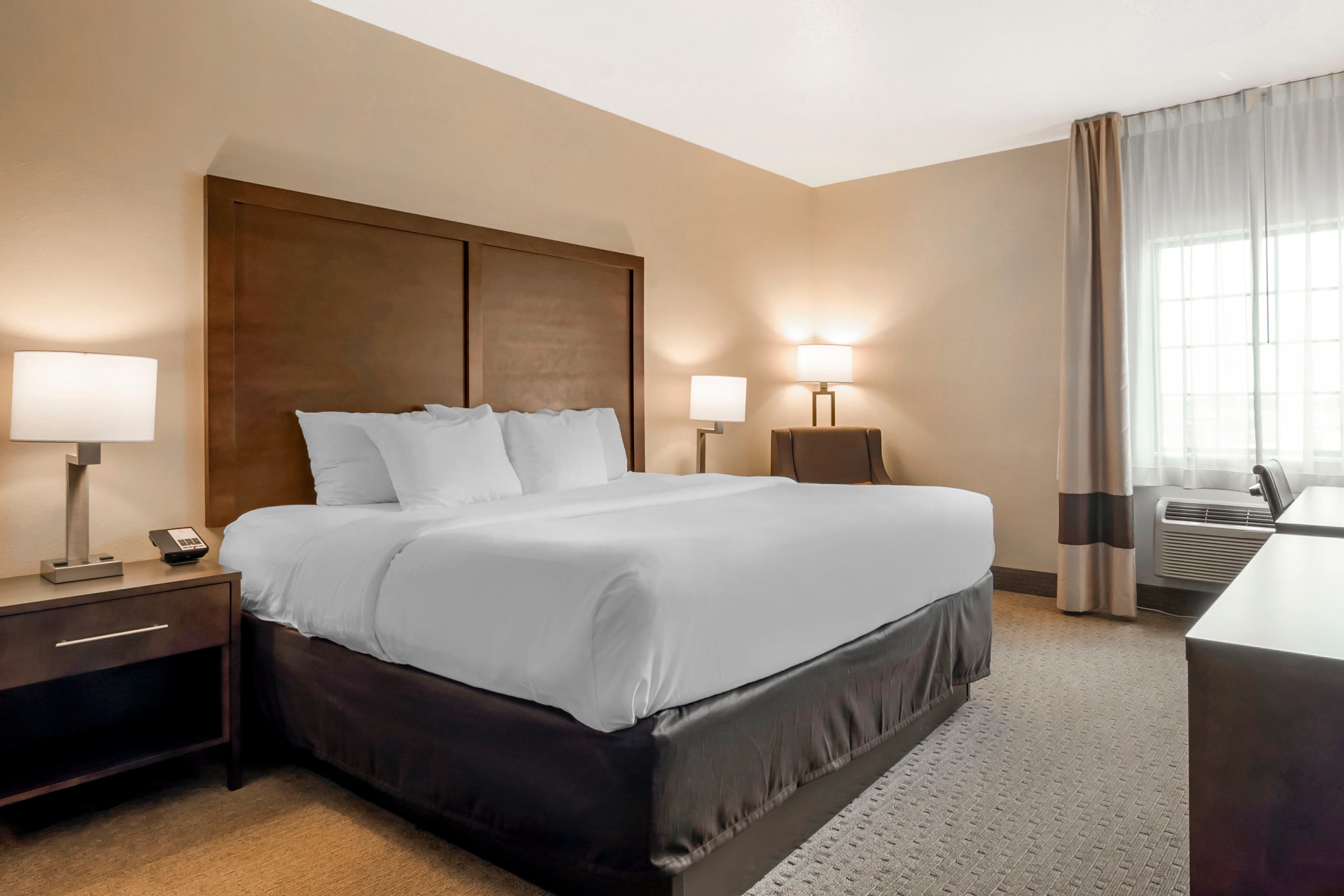 Comfort Inn & Suites Macon — 13