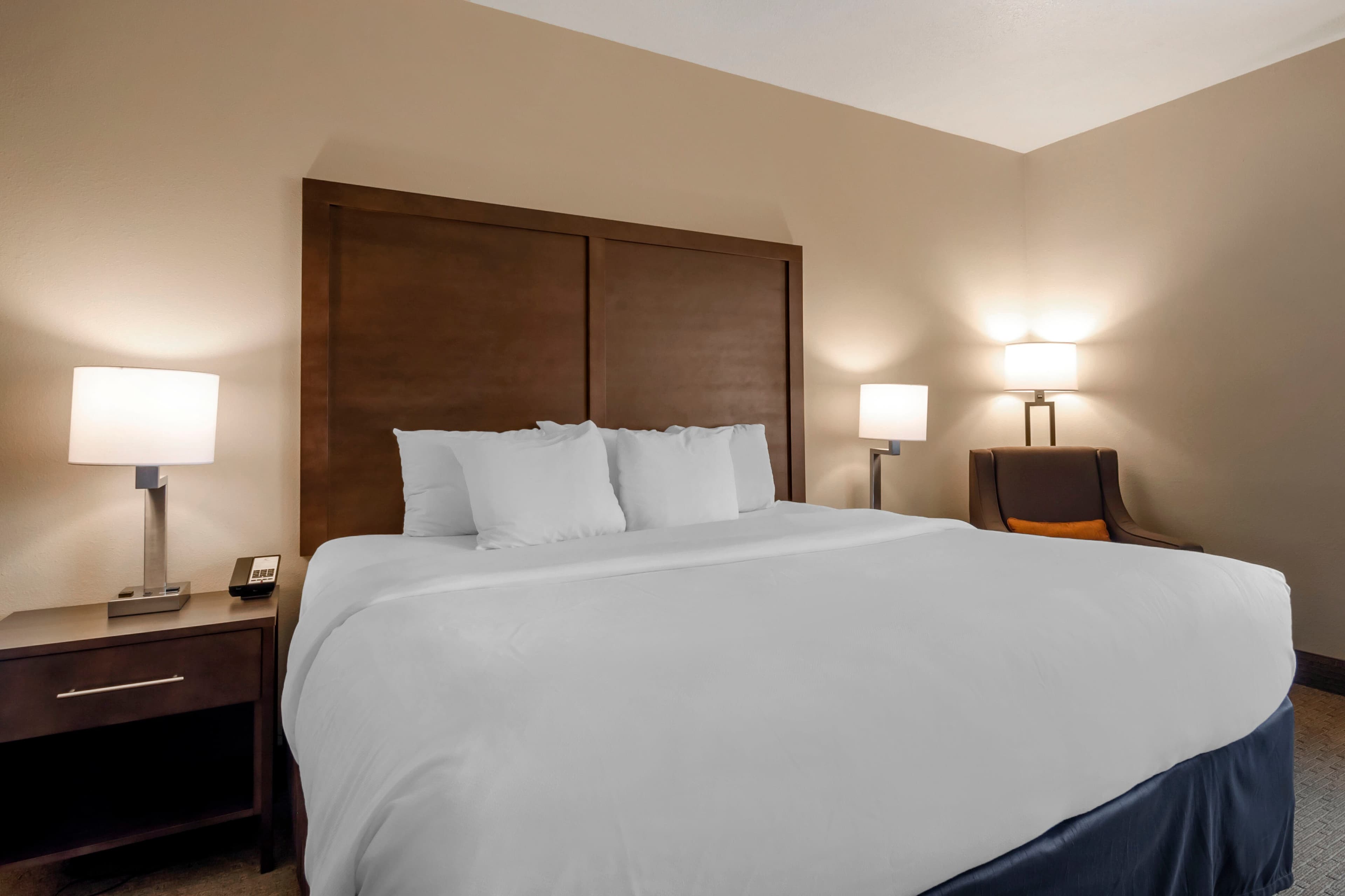 Comfort Inn & Suites Macon — 14