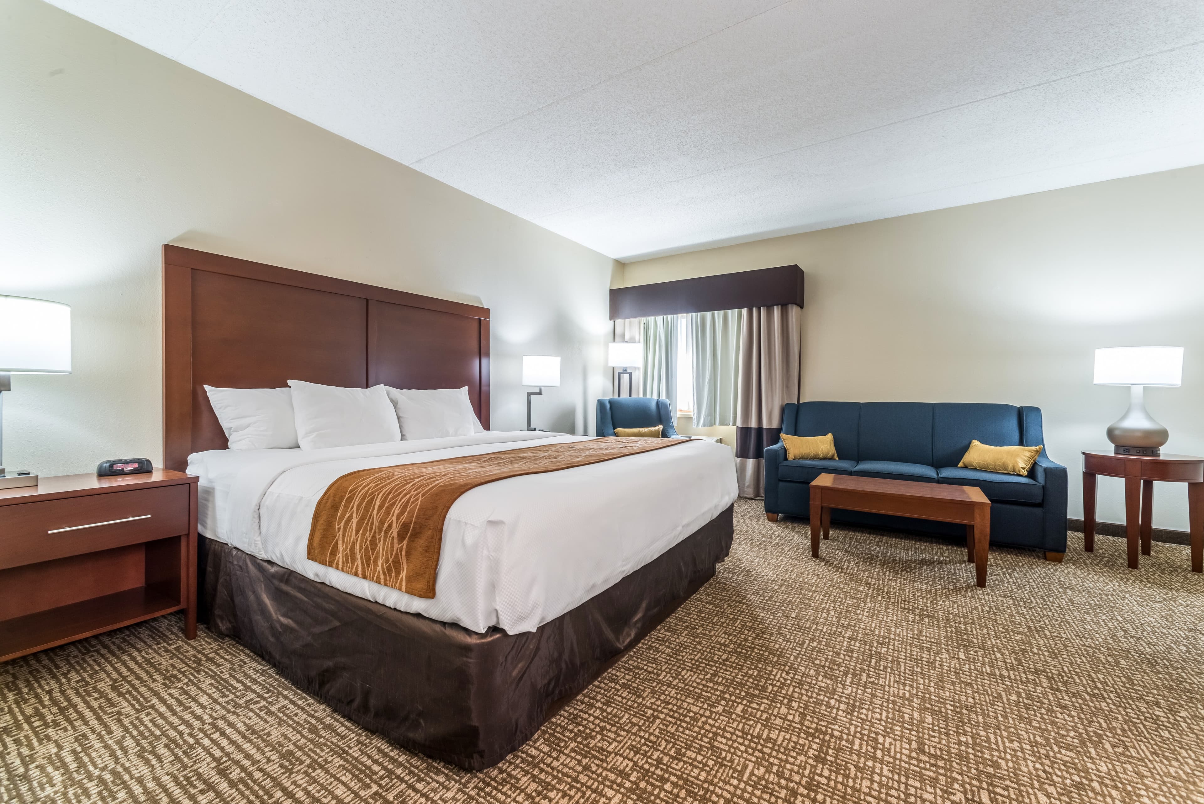 Comfort Inn Festus-St. Louis South — 14