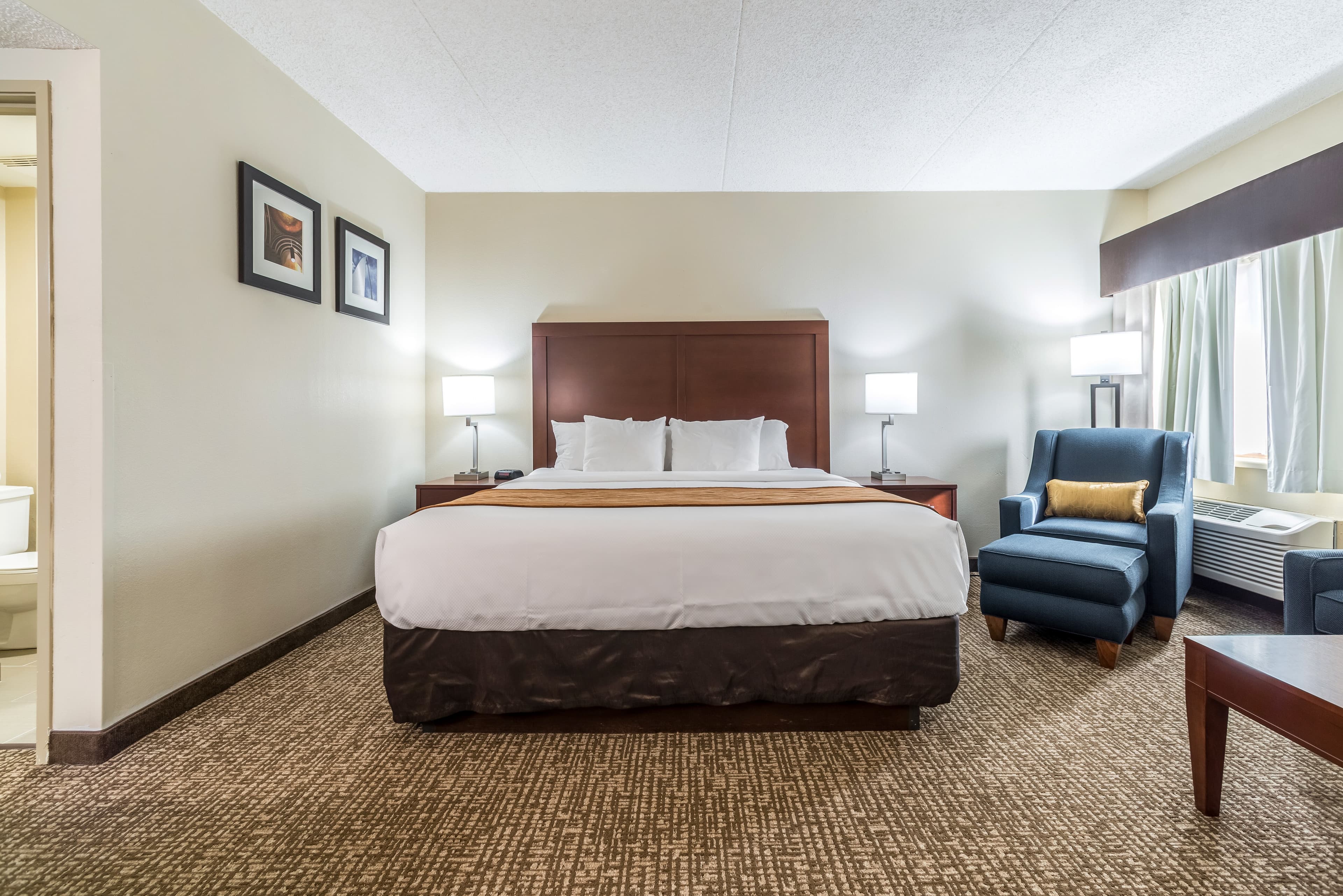 Comfort Inn Festus-St. Louis South — 17