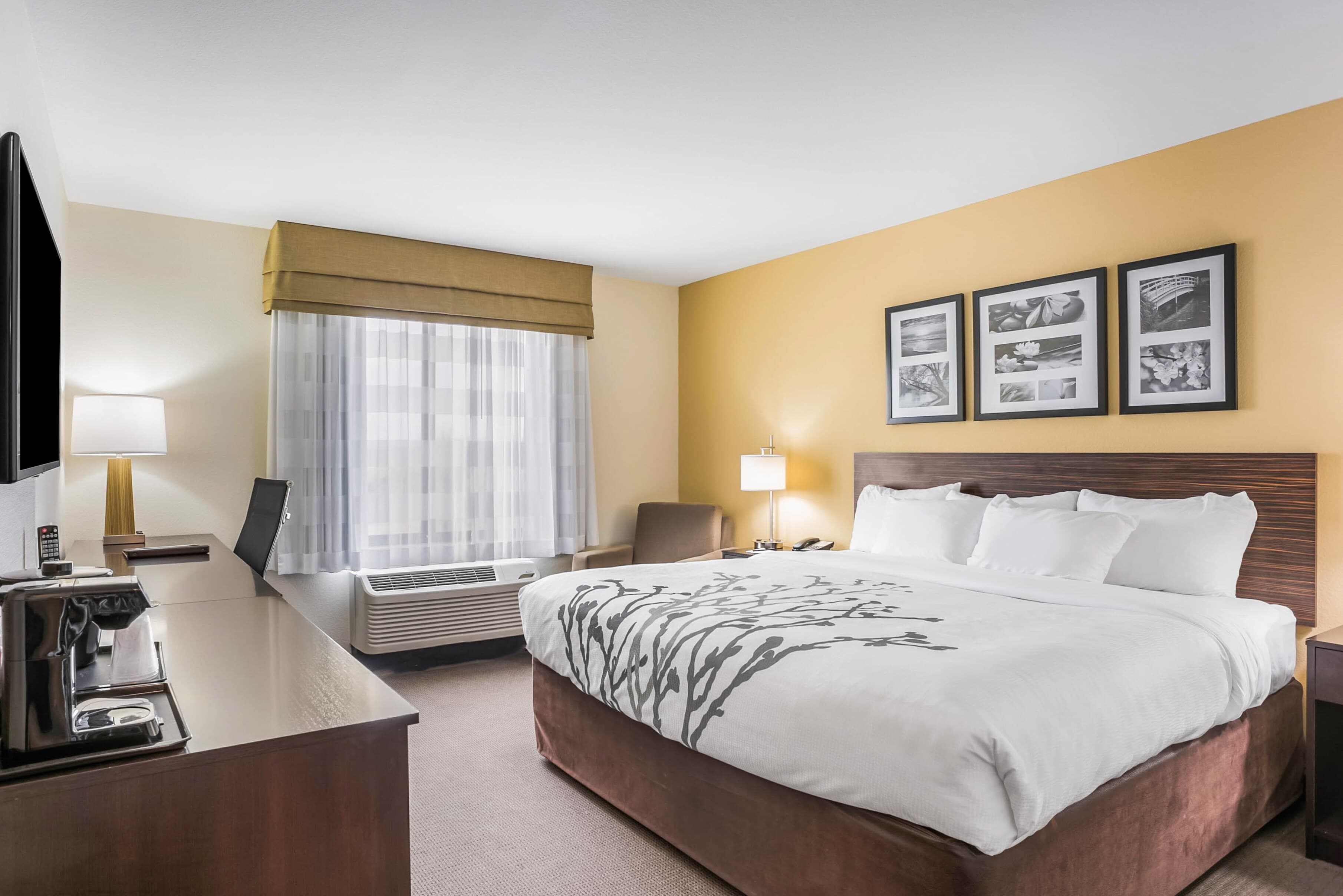 Sleep Inn & Suites Hannibal West - Image 1