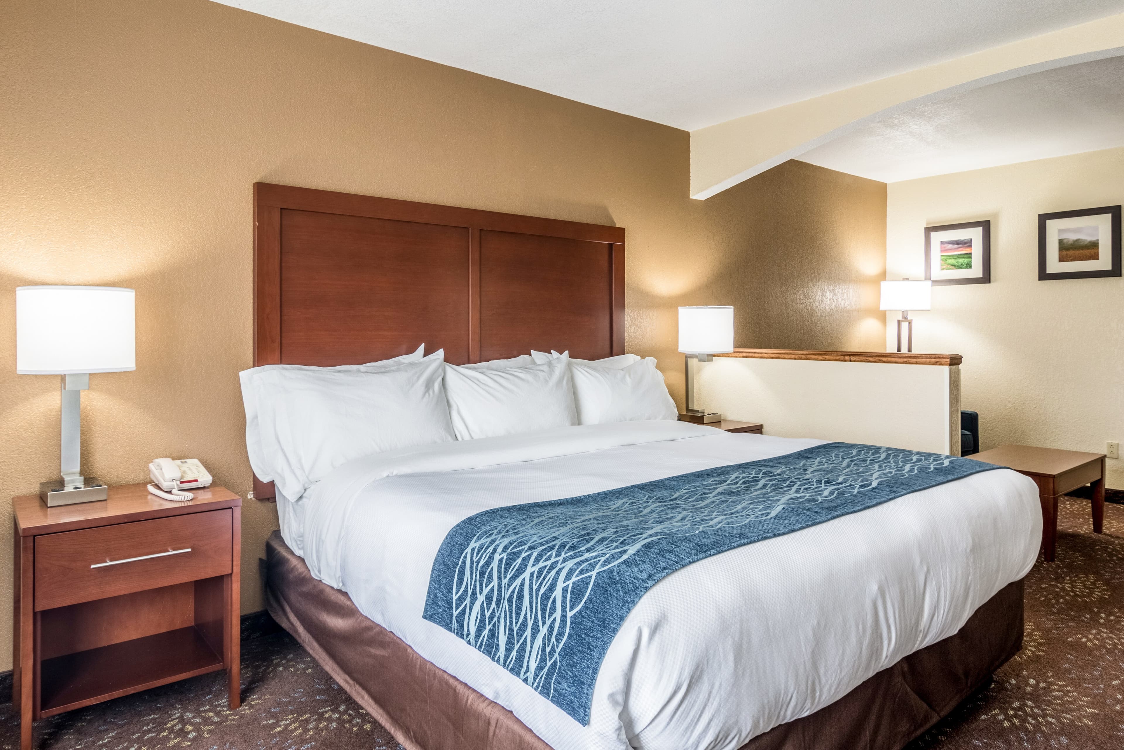 Comfort Inn & Suites - Hannibal - Image 2