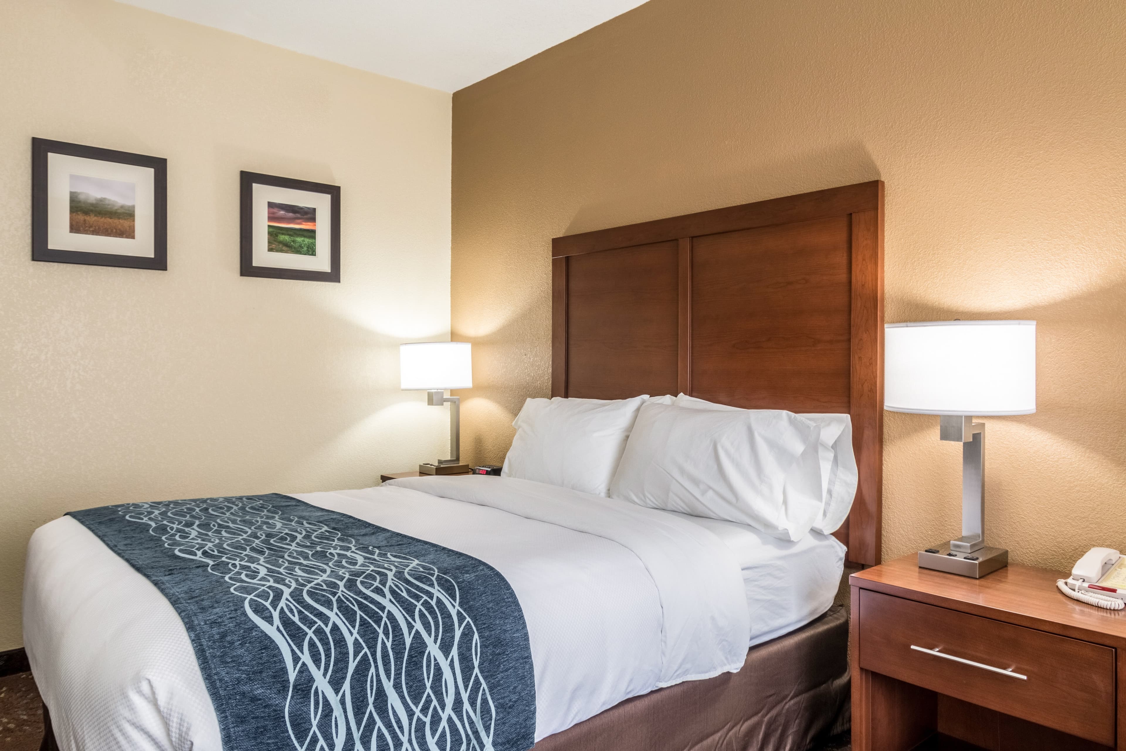 Comfort Inn & Suites - Hannibal - Image 5