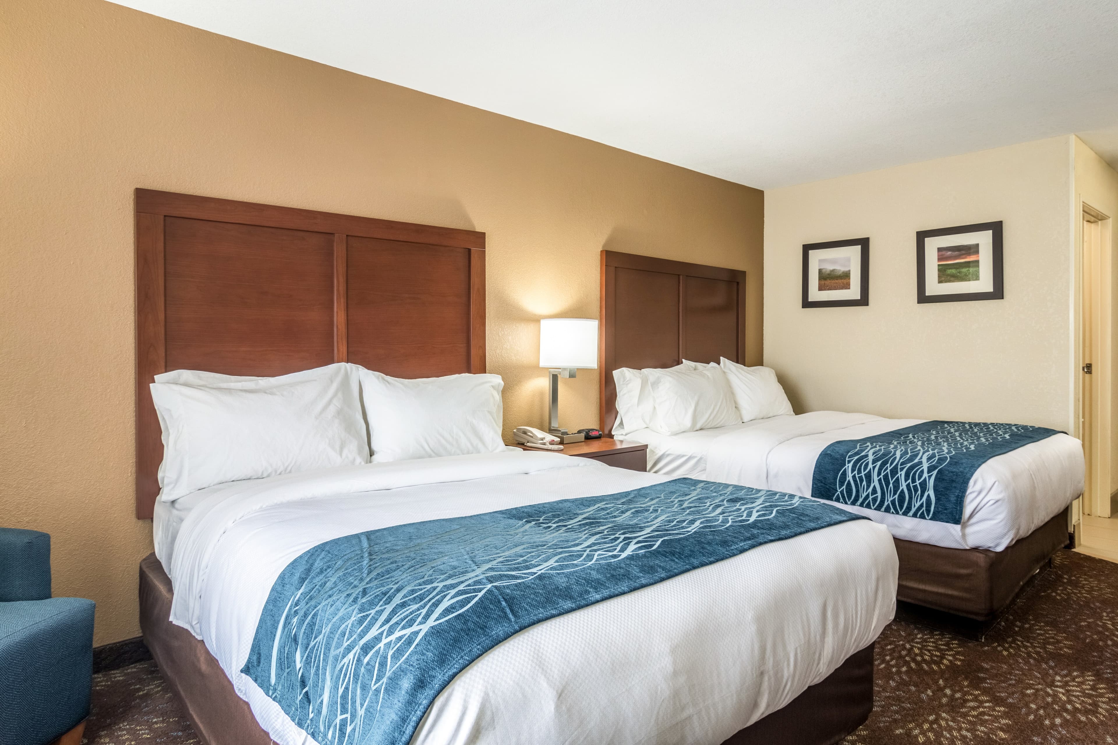 Comfort Inn & Suites - Hannibal — 21
