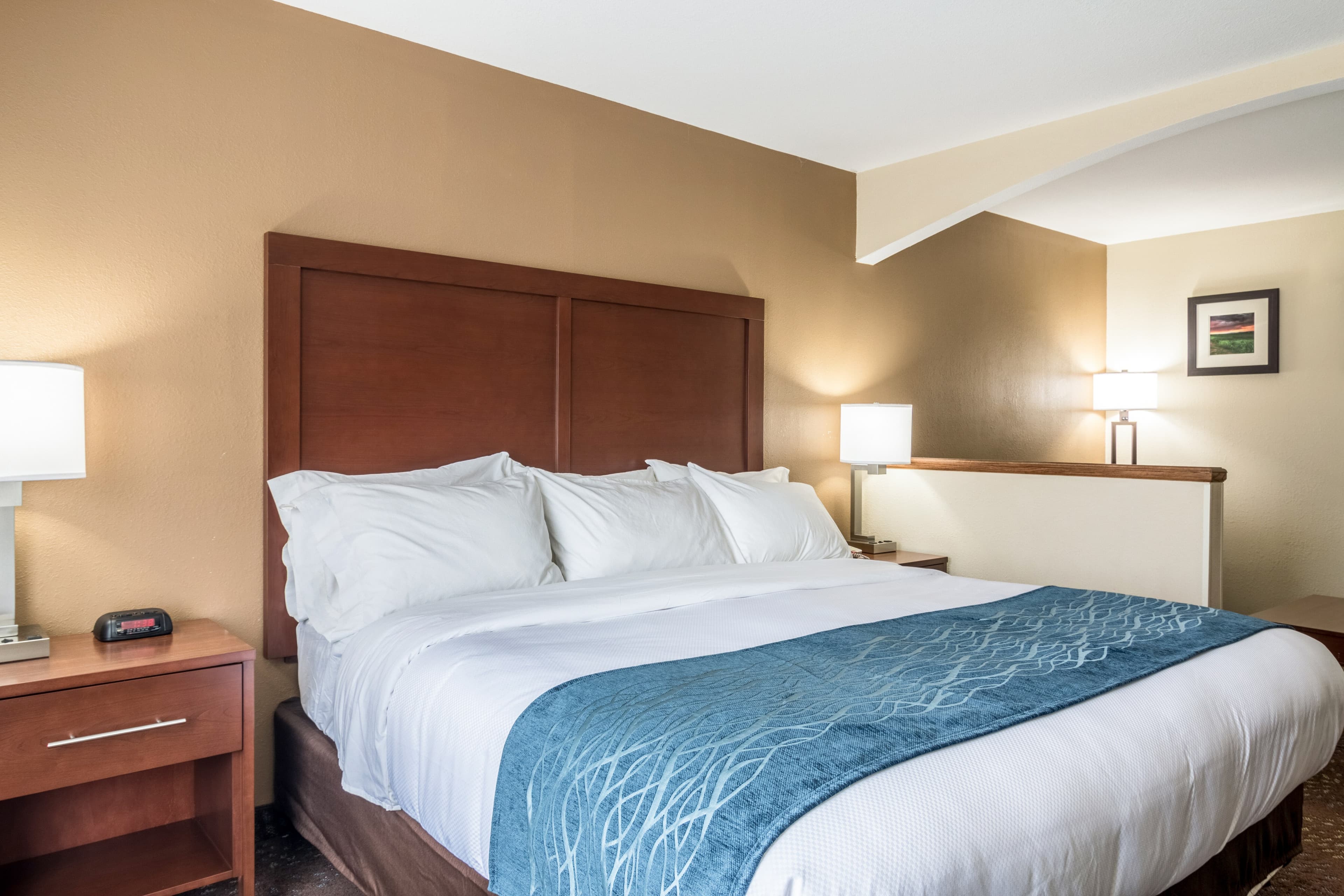 Comfort Inn & Suites - Hannibal — 28