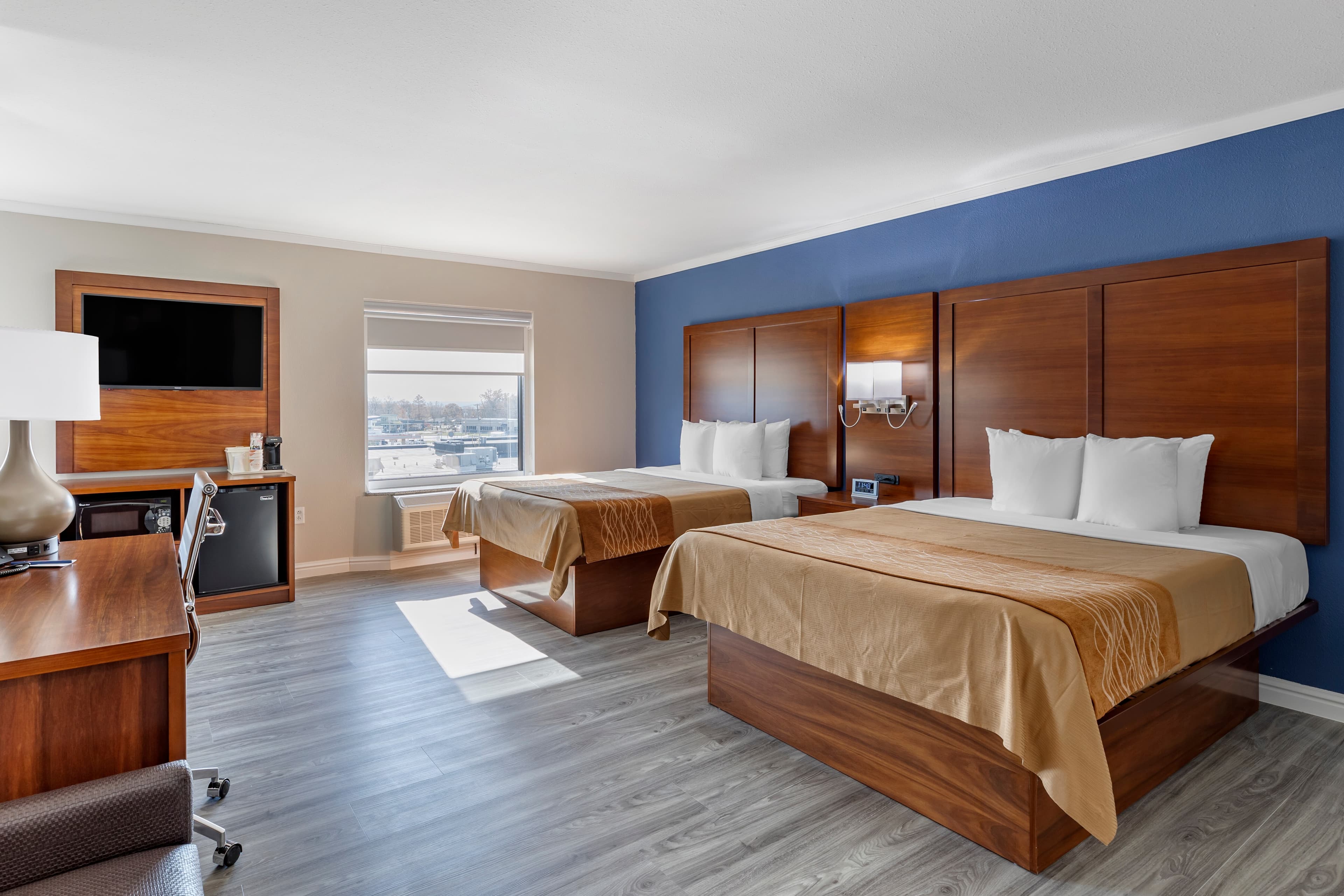 Comfort Suites St. Louis - Sunset Hills - Image 2