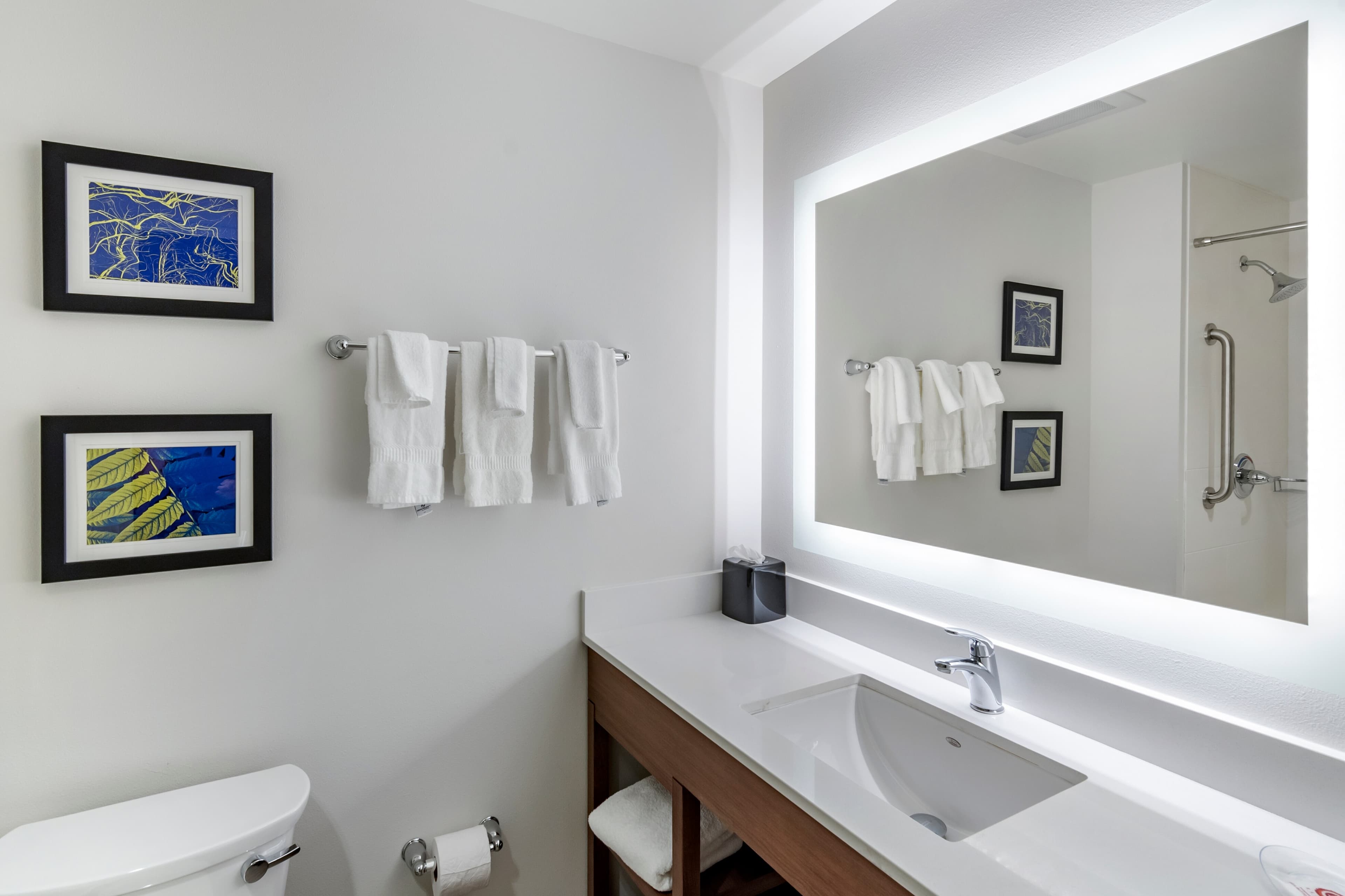 Comfort Suites Grandview - Kansas City — 18