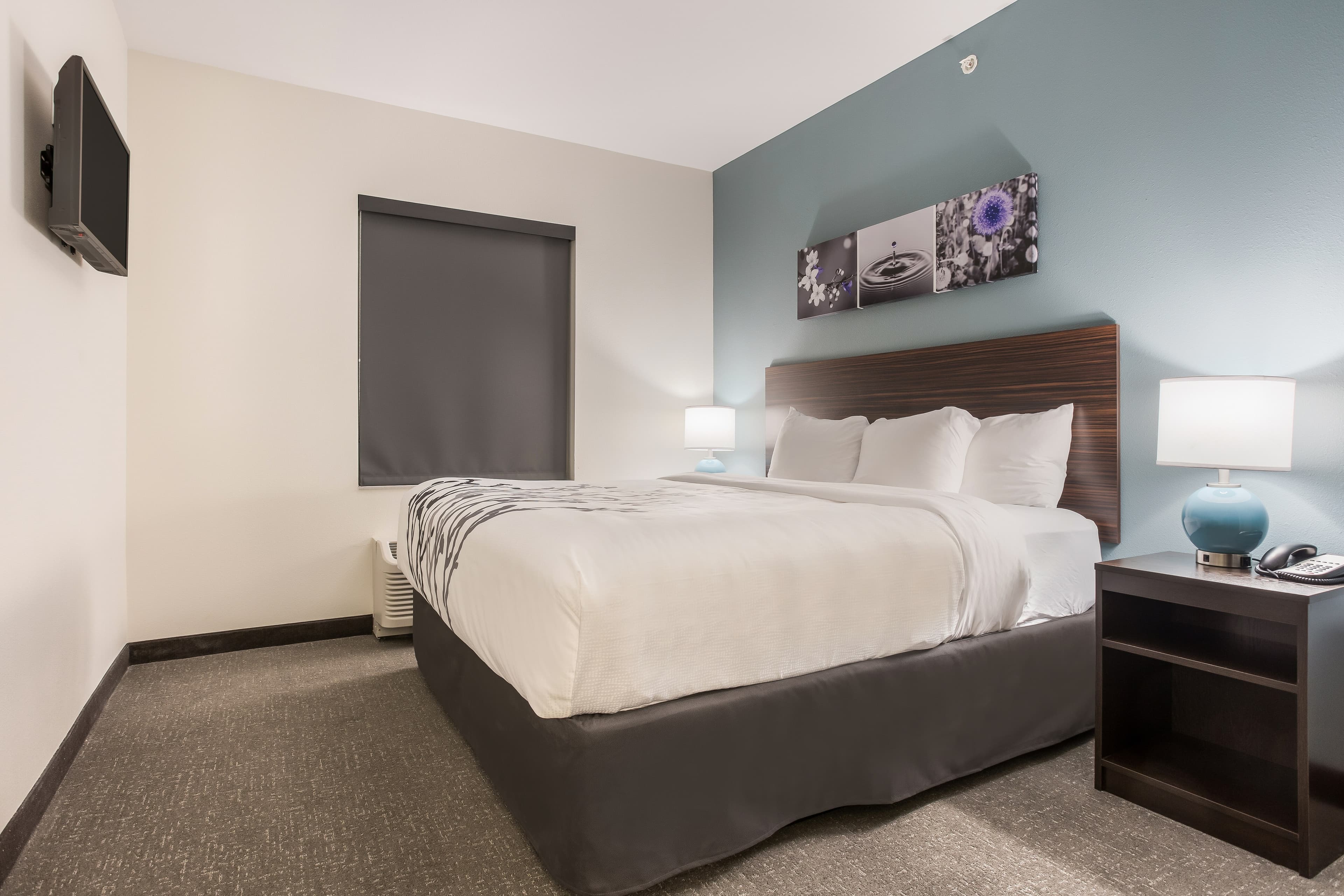 Sleep Inn & Suites Webb City — 12