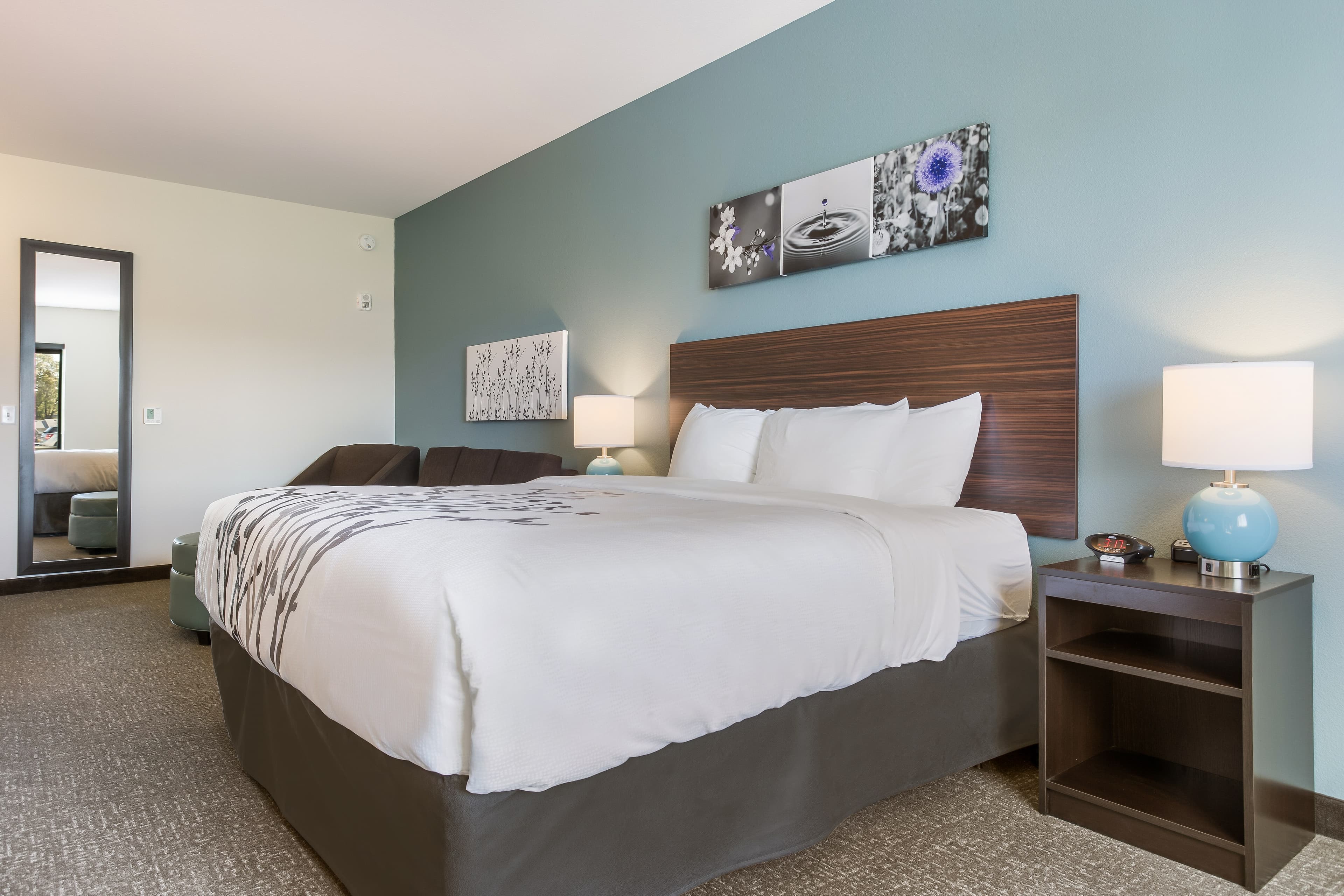 Sleep Inn & Suites Webb City — 42