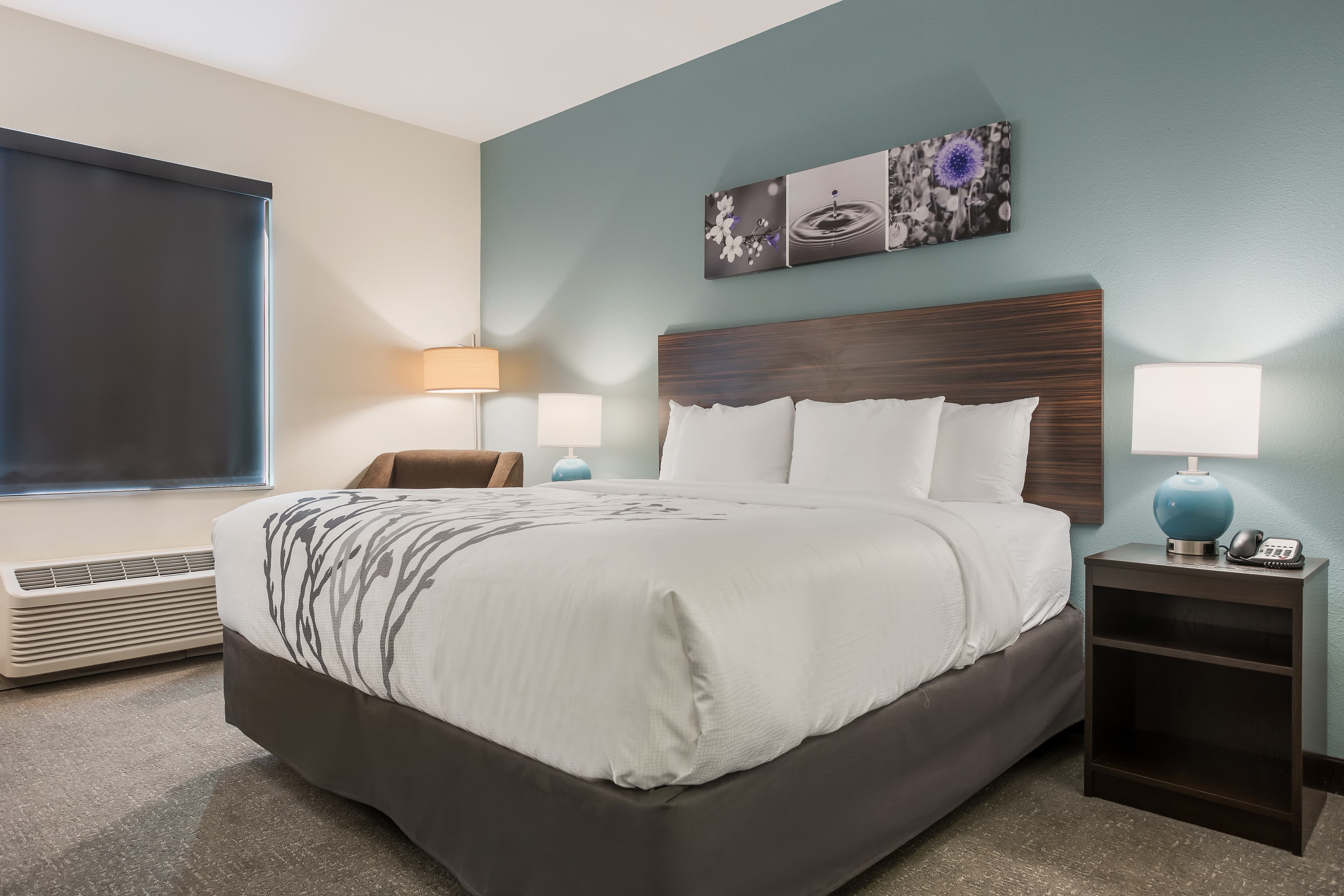 Sleep Inn & Suites Webb City — 14