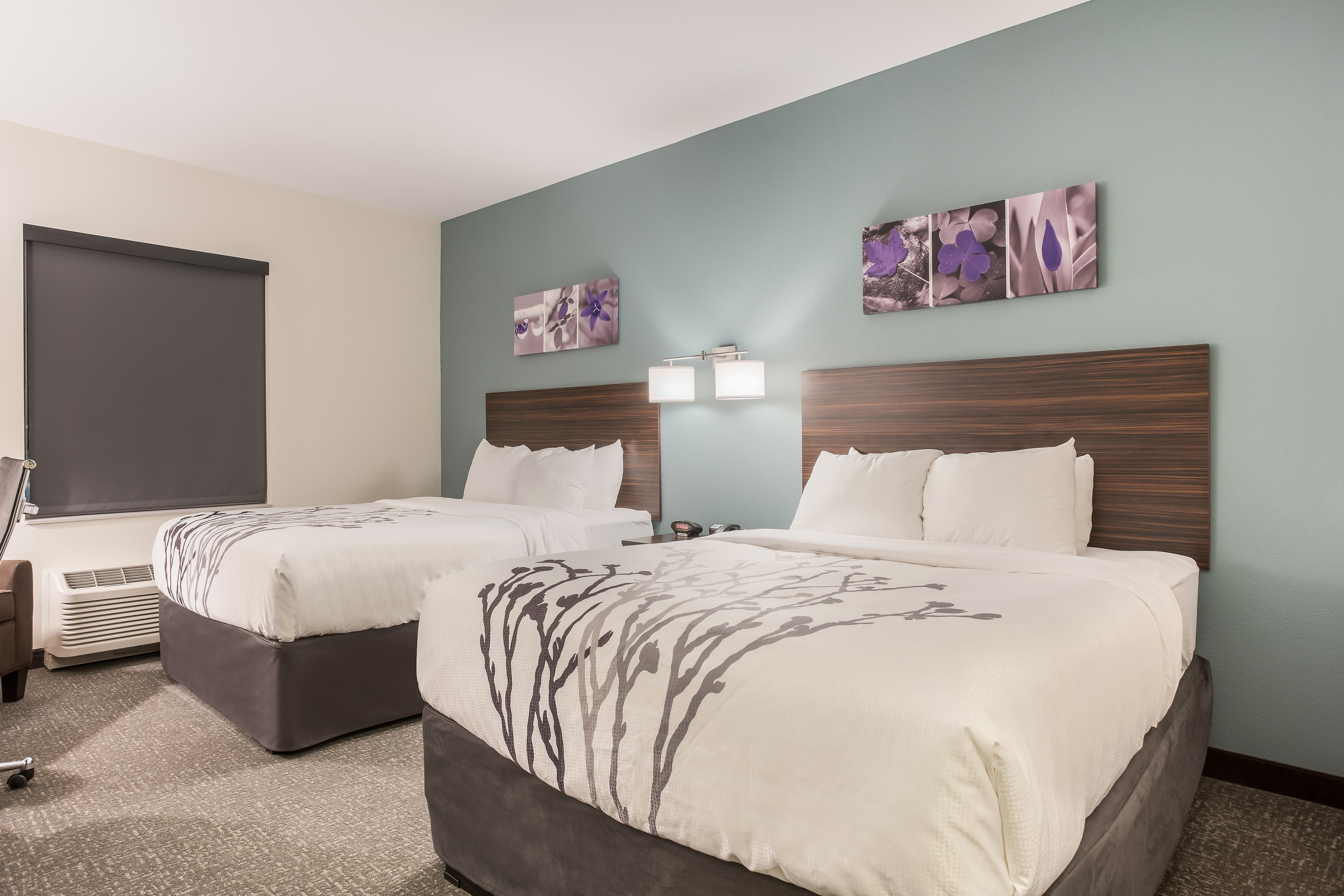 Sleep Inn & Suites Webb City — 35