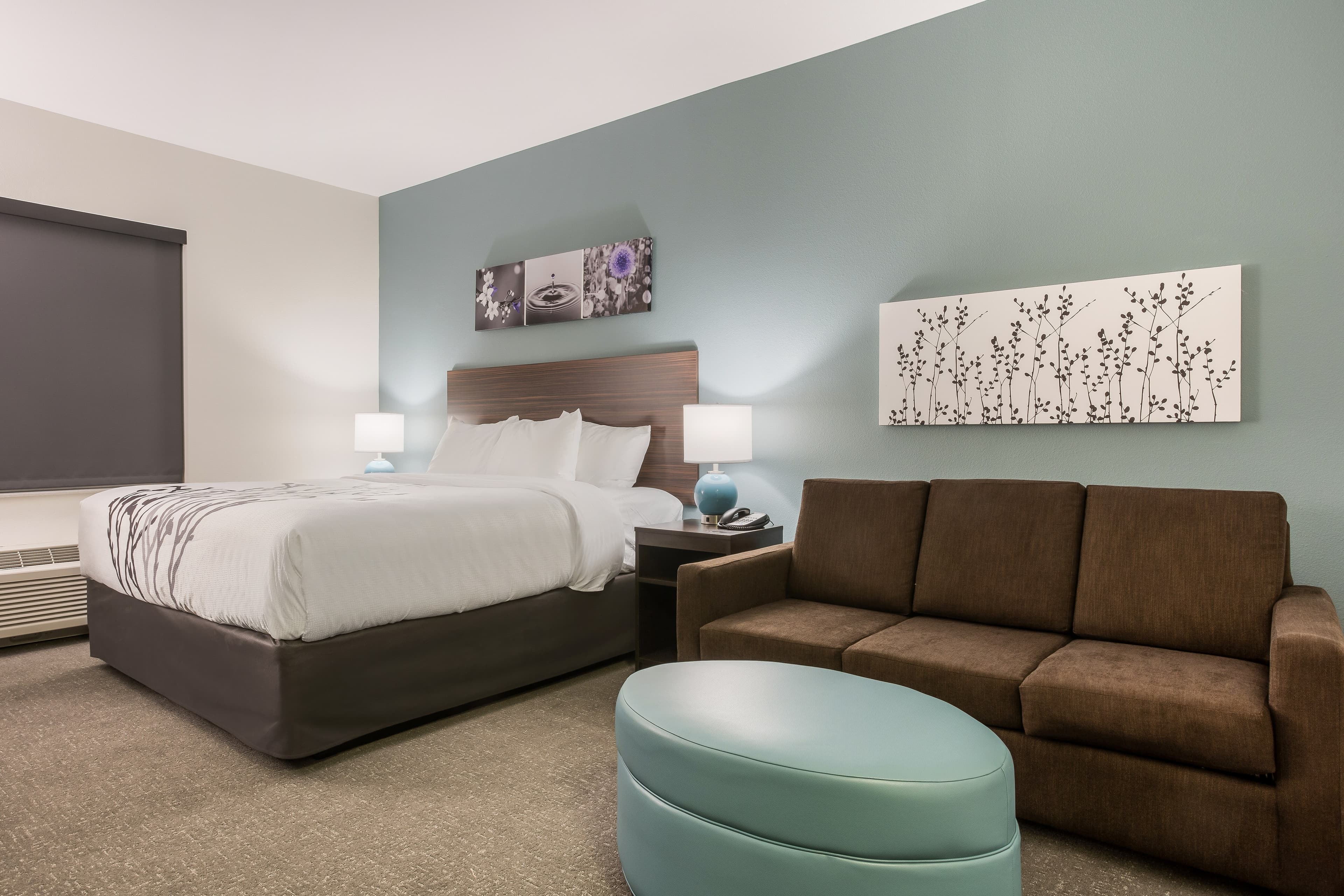 Sleep Inn & Suites Webb City — 47
