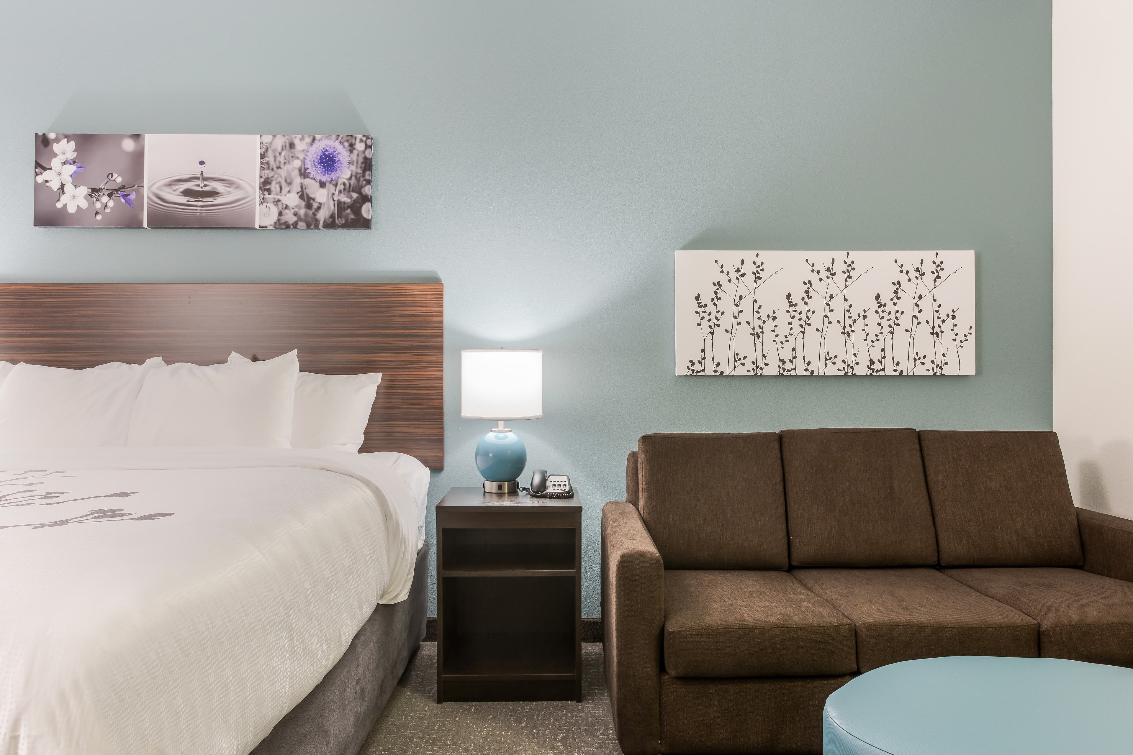 Sleep Inn & Suites Webb City — 49
