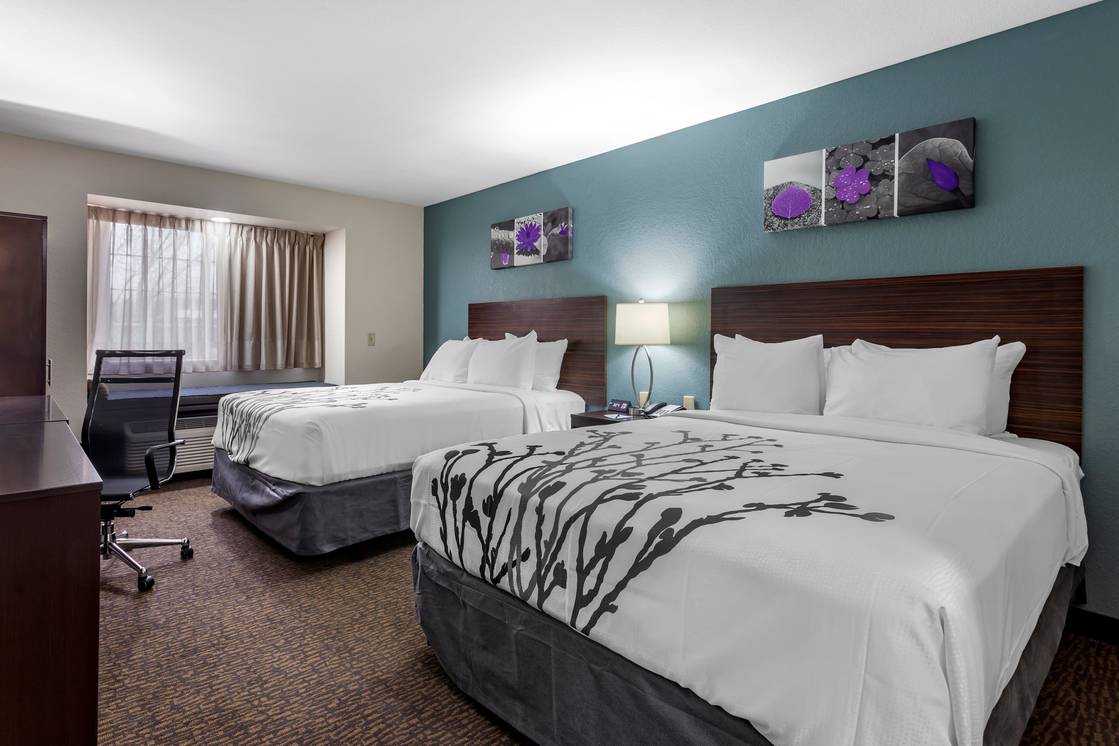 Sleep Inn St. Robert-Fort Leonard Wood — 10
