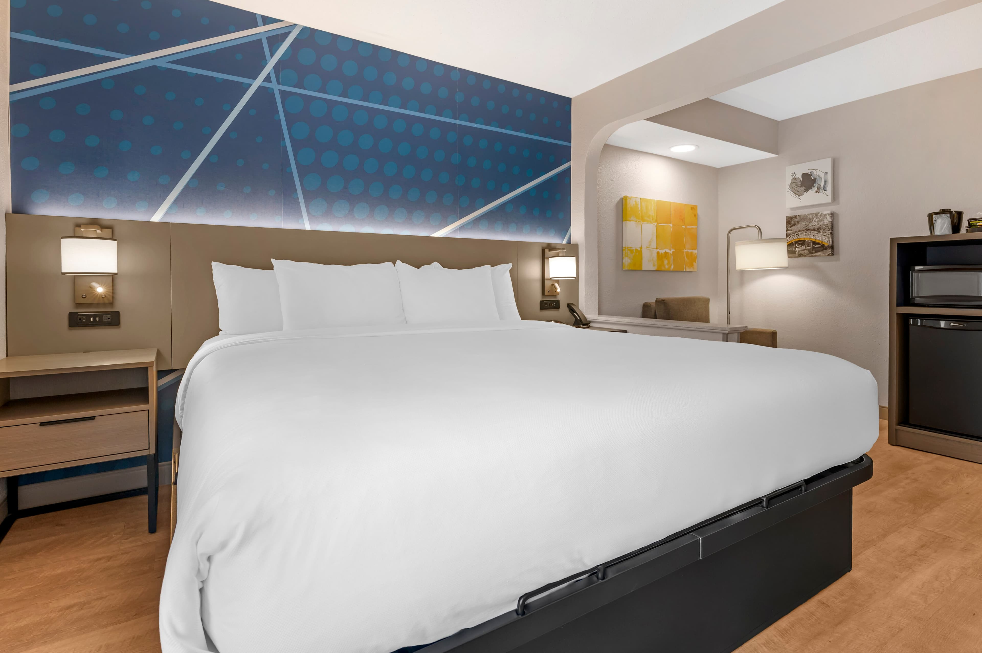 Comfort Inn & Suites Saint Louis Lafayette Square - Image 2