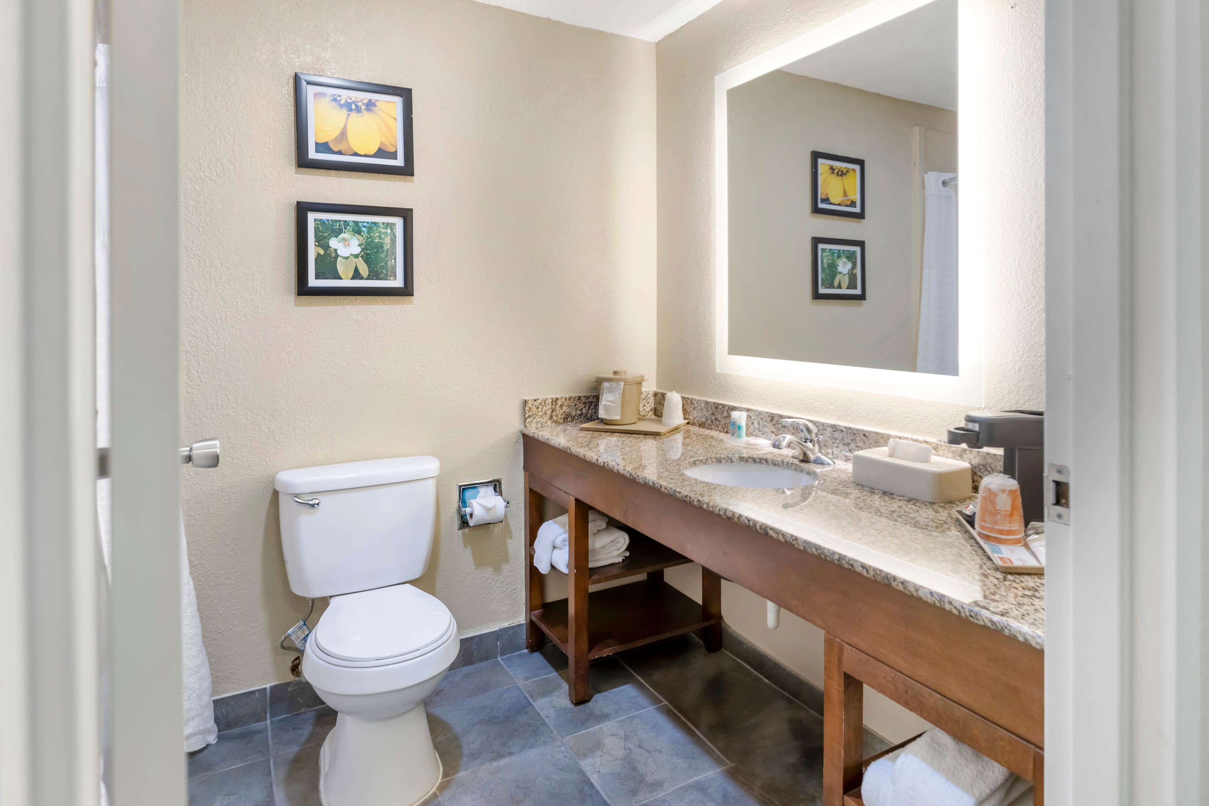 Comfort Inn Meridian - Bonita Lakes — 21