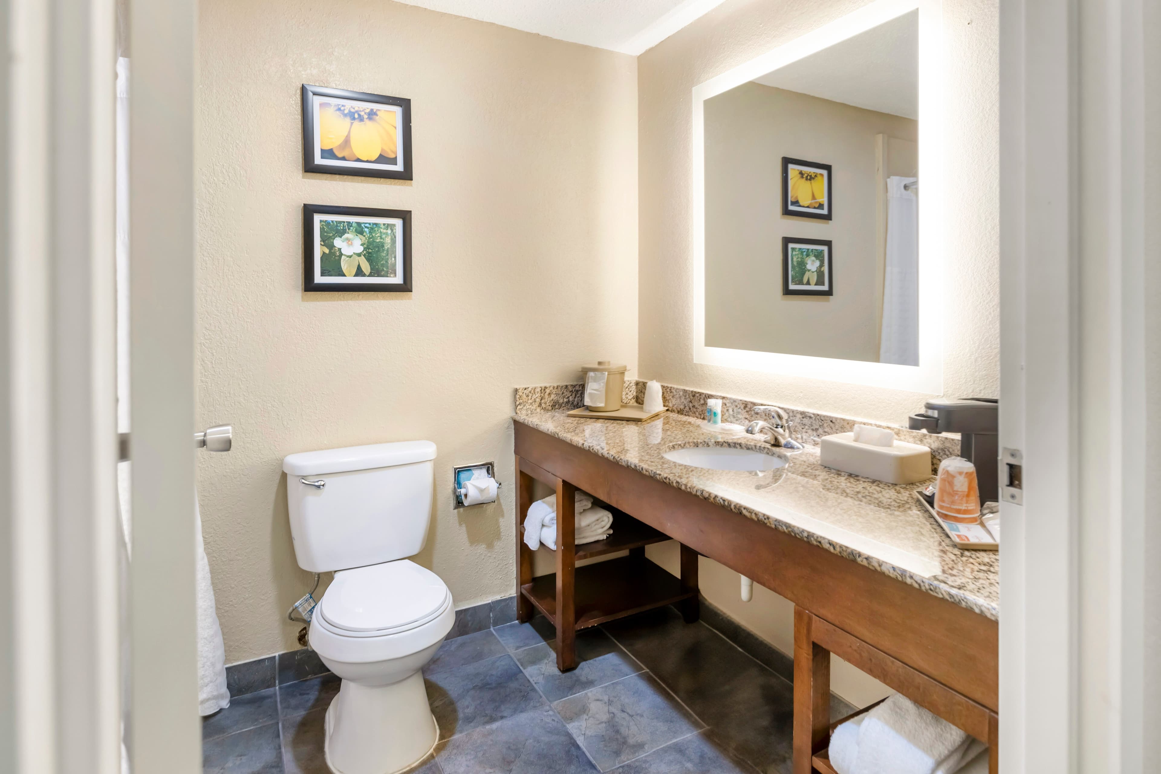 Comfort Inn Meridian - Bonita Lakes — 25