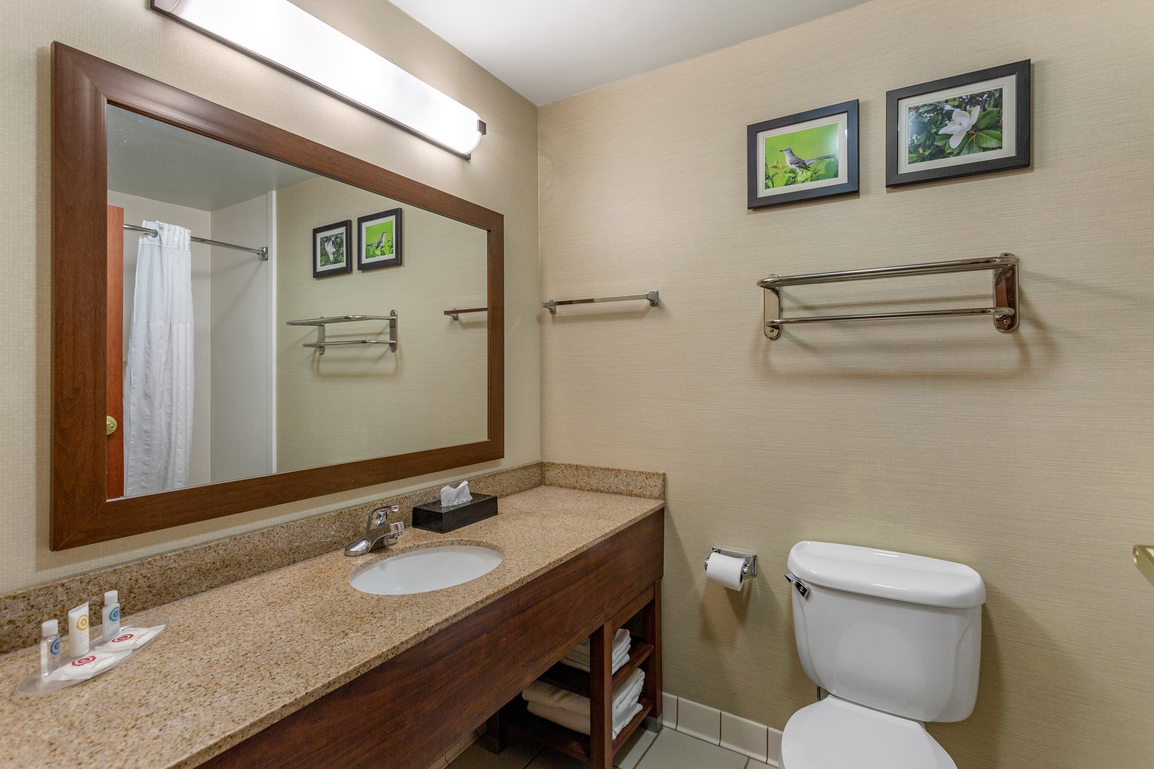 Comfort Suites Southaven - Memphis South - Image 5