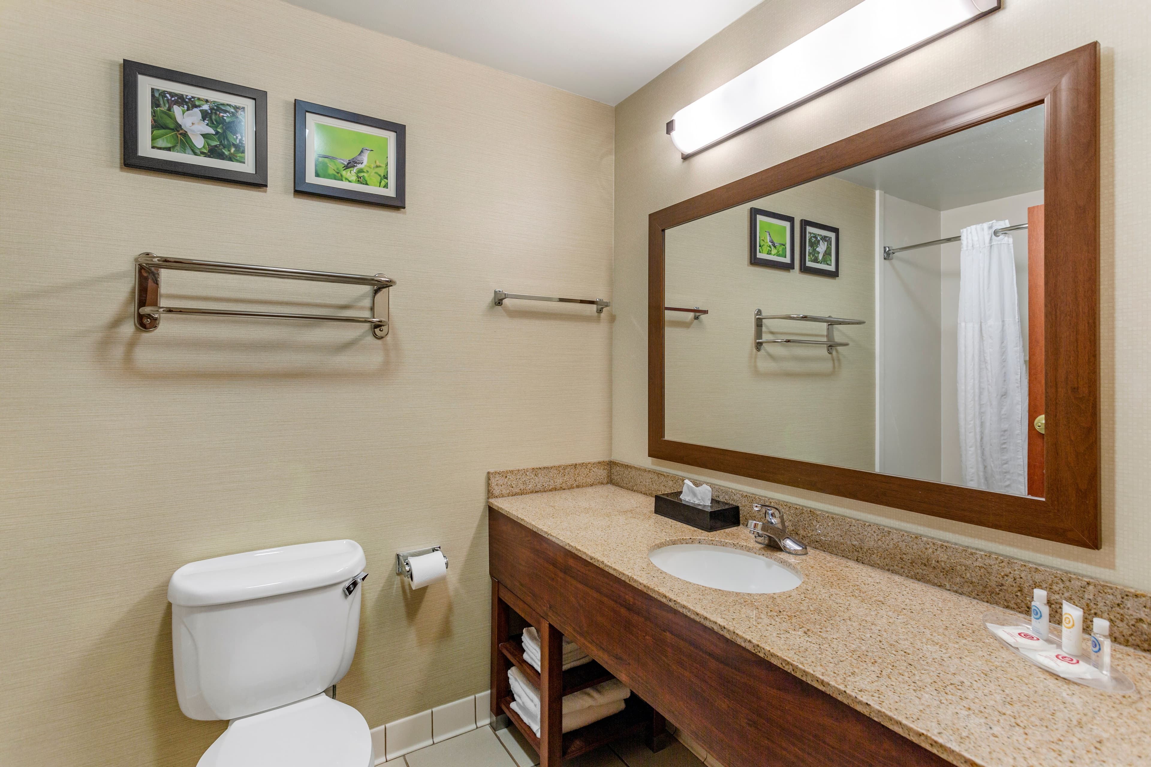 Comfort Suites Southaven - Memphis South — 22