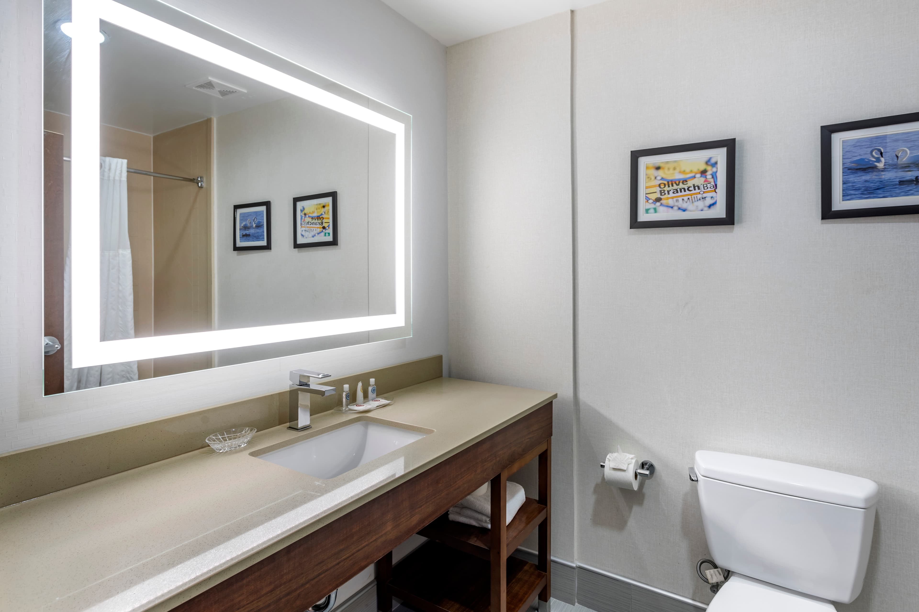 Comfort Suites Olive Branch - Memphis South — 13