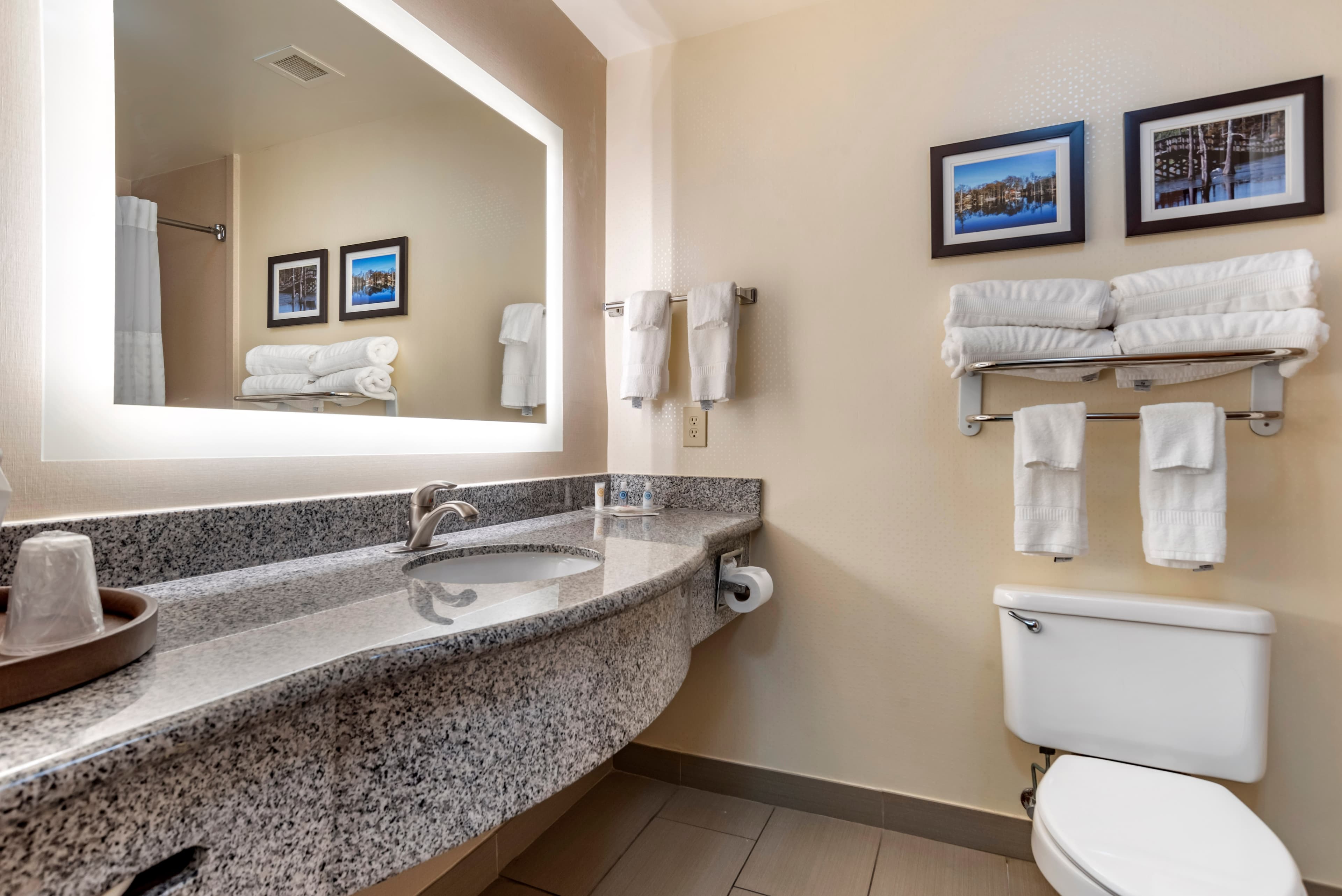 Comfort Suites Vicksburg — 13